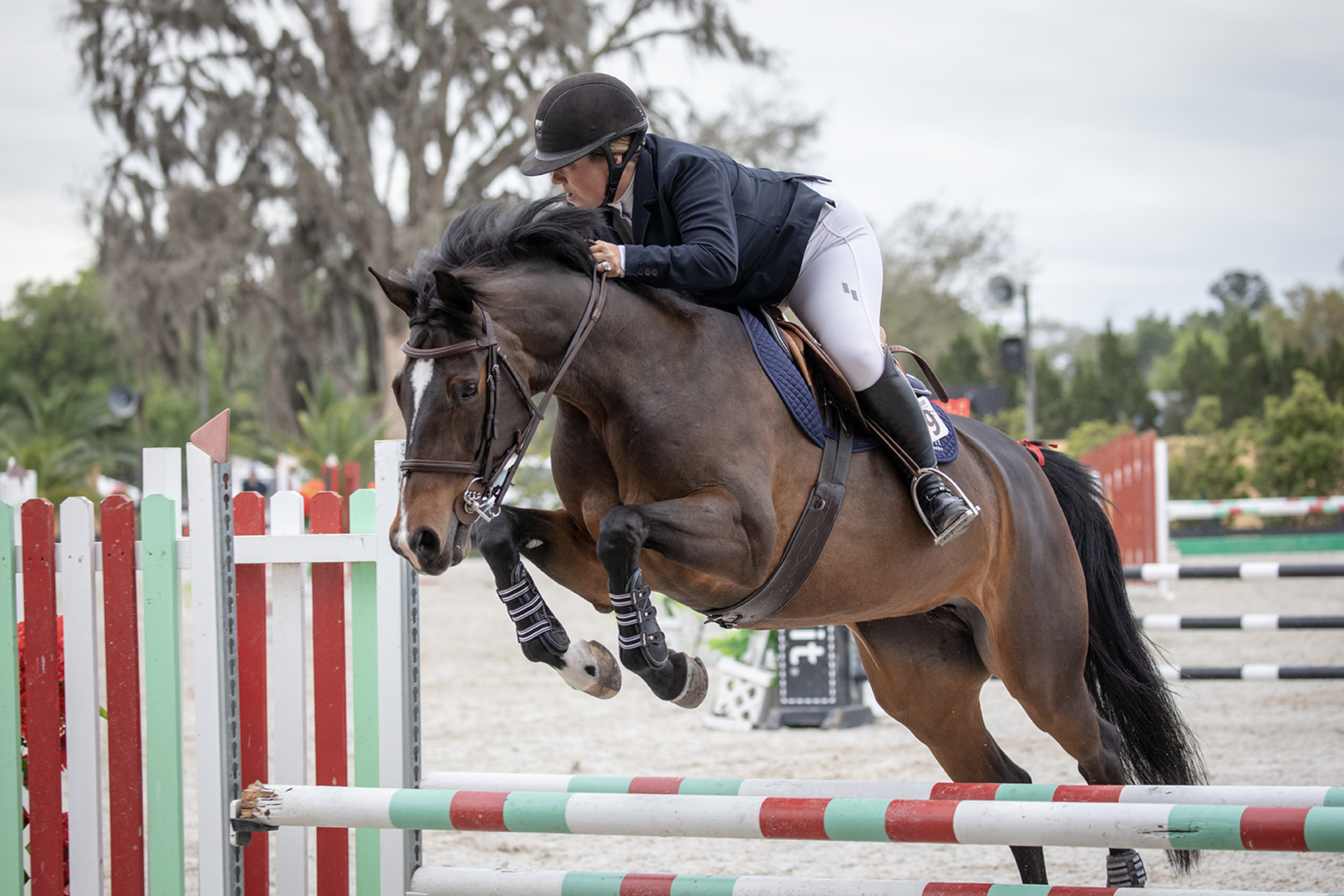 HITS Ocala Ribbons and Results Recap - Weeks VI and VIII