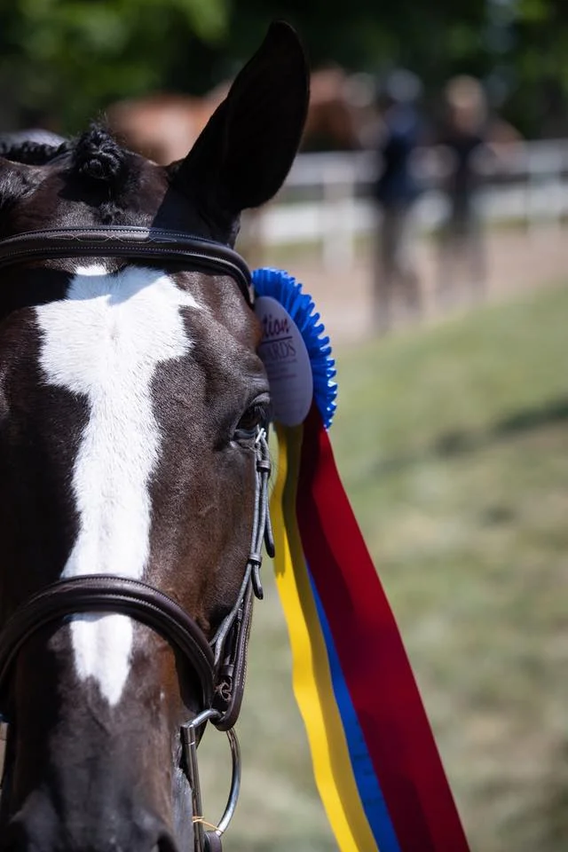 Inside the Barn With: Clear Sailing 
