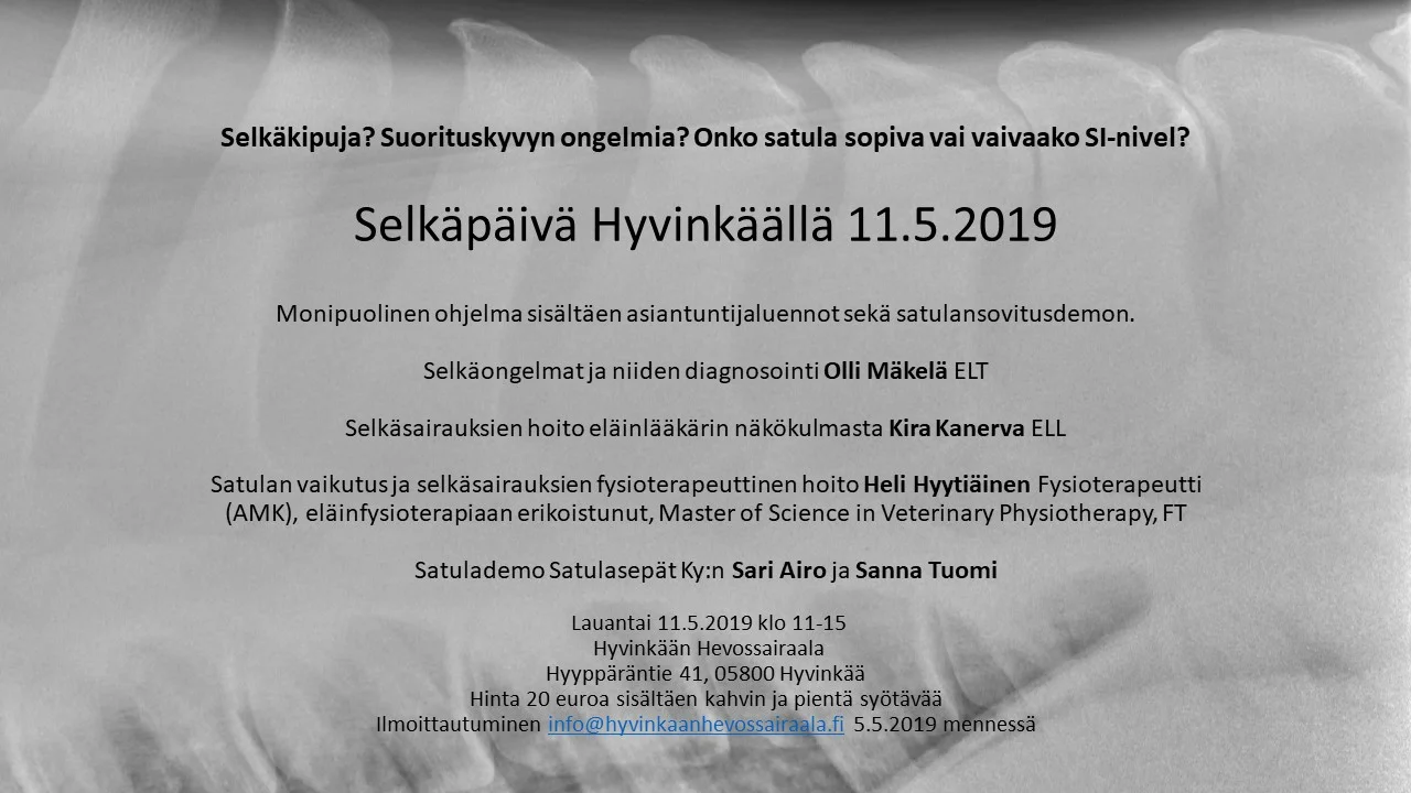 Selkäpäivä-3.jpg
