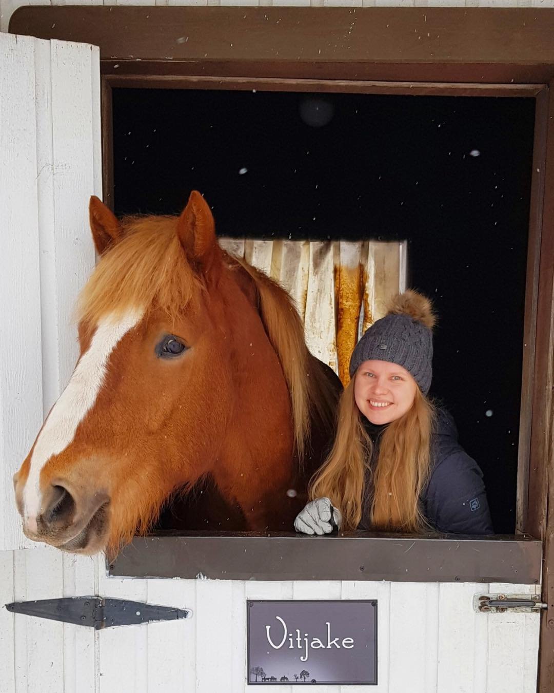 Jatkamme joulukalenteria viel&auml; yhdell&auml; luukulla sill&auml; meill&auml; on teille iloisia uutisia!

Saamme vuoden alussa kaksi uutta el&auml;inl&auml;&auml;k&auml;ri&auml; meid&auml;n porukkaan! Paljon kysyttyihin ortopedisiin tallik&auml;yn