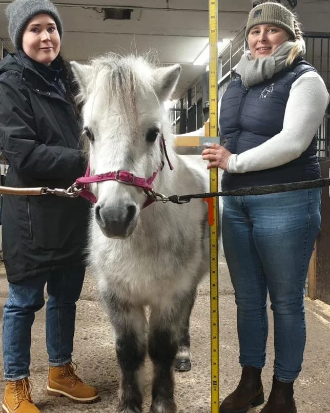 Olemme saaneet riveihimme uusia ponimittaajia! Suski ja Ninni k&auml;viv&auml;t Suomen Hippoksen j&auml;rjest&auml;m&auml;n ponimittauskoulutuksen ja ovat nyt oikeutettuja tekem&auml;&auml;n sek&auml; SRL:n ett&auml; Hippoksen alaisia ponimittauksia.