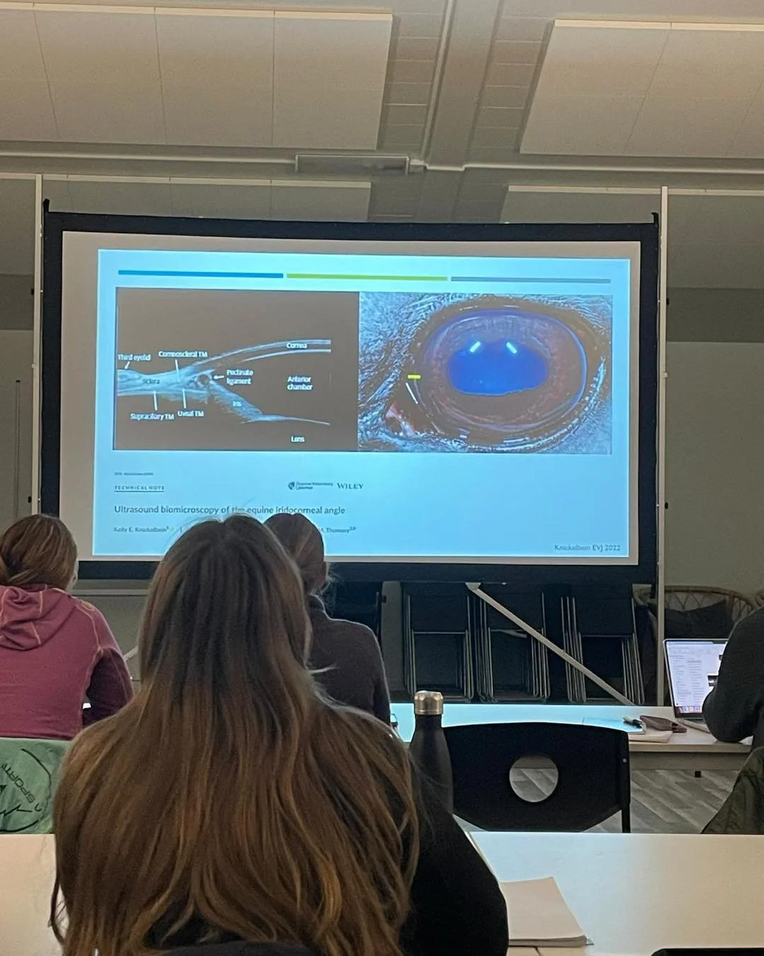 Alkuvuosi on loistava aika kouluttautua!

Jonna ja Ninni olivat t&auml;ll&auml; viikolla VetPd:n j&auml;rjest&auml;m&auml;ll&auml; hevosten silm&auml;kurssilla M&auml;laren hevossairaalassa Ruotsissa. Luennoitsijat olivat loistavia ja k&auml;yt&auml;