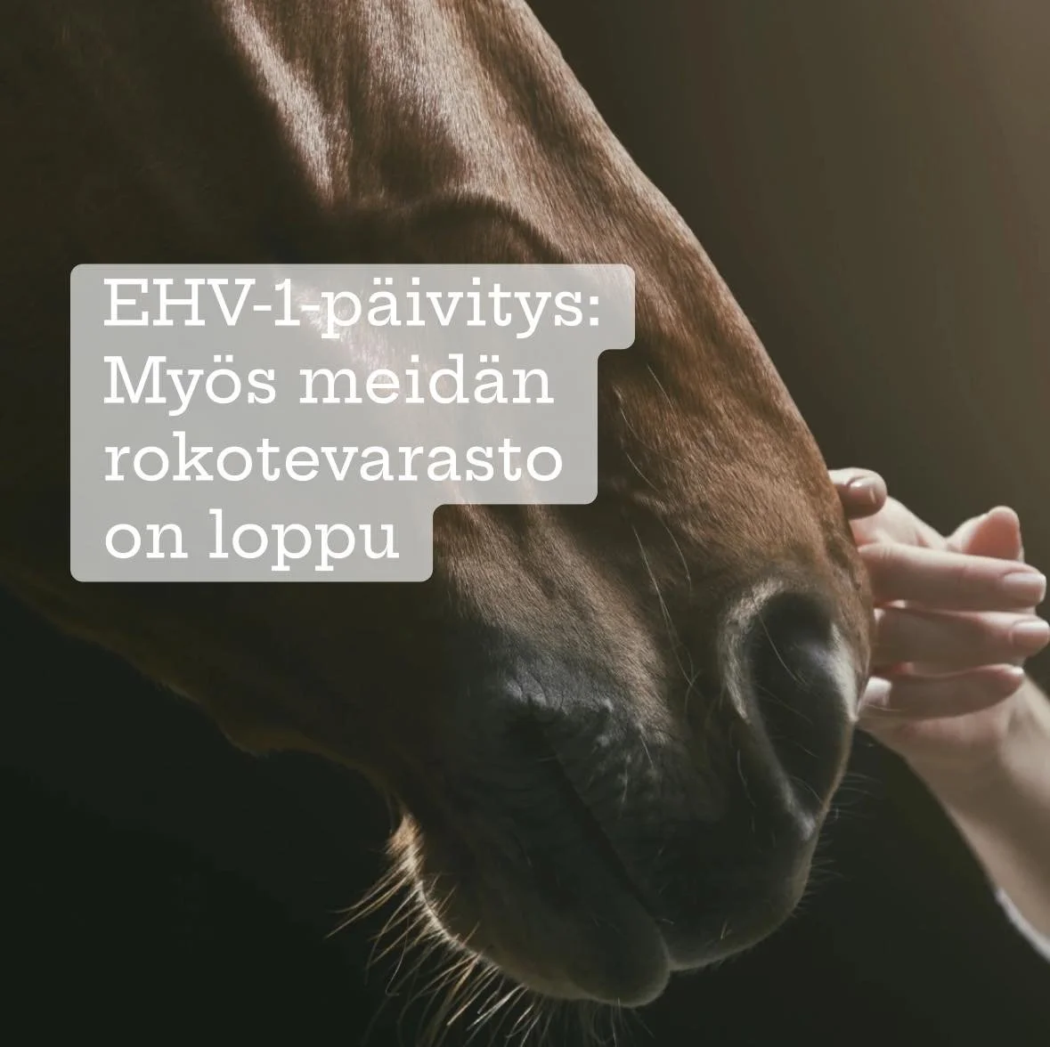 Viime aikaiset EHV‑1‑tapaukset ovat her&auml;tt&auml;neet monissa talliyhteis&ouml;iss&auml; huolta ja ep&auml;varmuutta. Huoli on luonnollinen, sill&auml; hevosten hyvinvointi on meille kaikille t&auml;rke&auml;&auml;. Onneksi oikeilla toimintatavoi