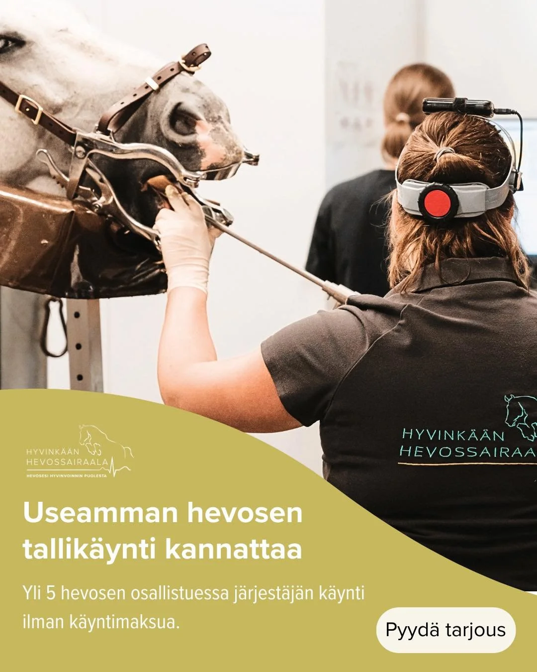 Kun hevosia on hoidettavana tallillanne useampi, on tallik&auml;ynti koko porukalle usein j&auml;rkevin ja kustannustehokkain ratkaisu.
 
Miten? Tallik&auml;ynnit varataan 0207310340, jotta voimme tarjota jokaiselle tallille r&auml;&auml;t&auml;l&oum
