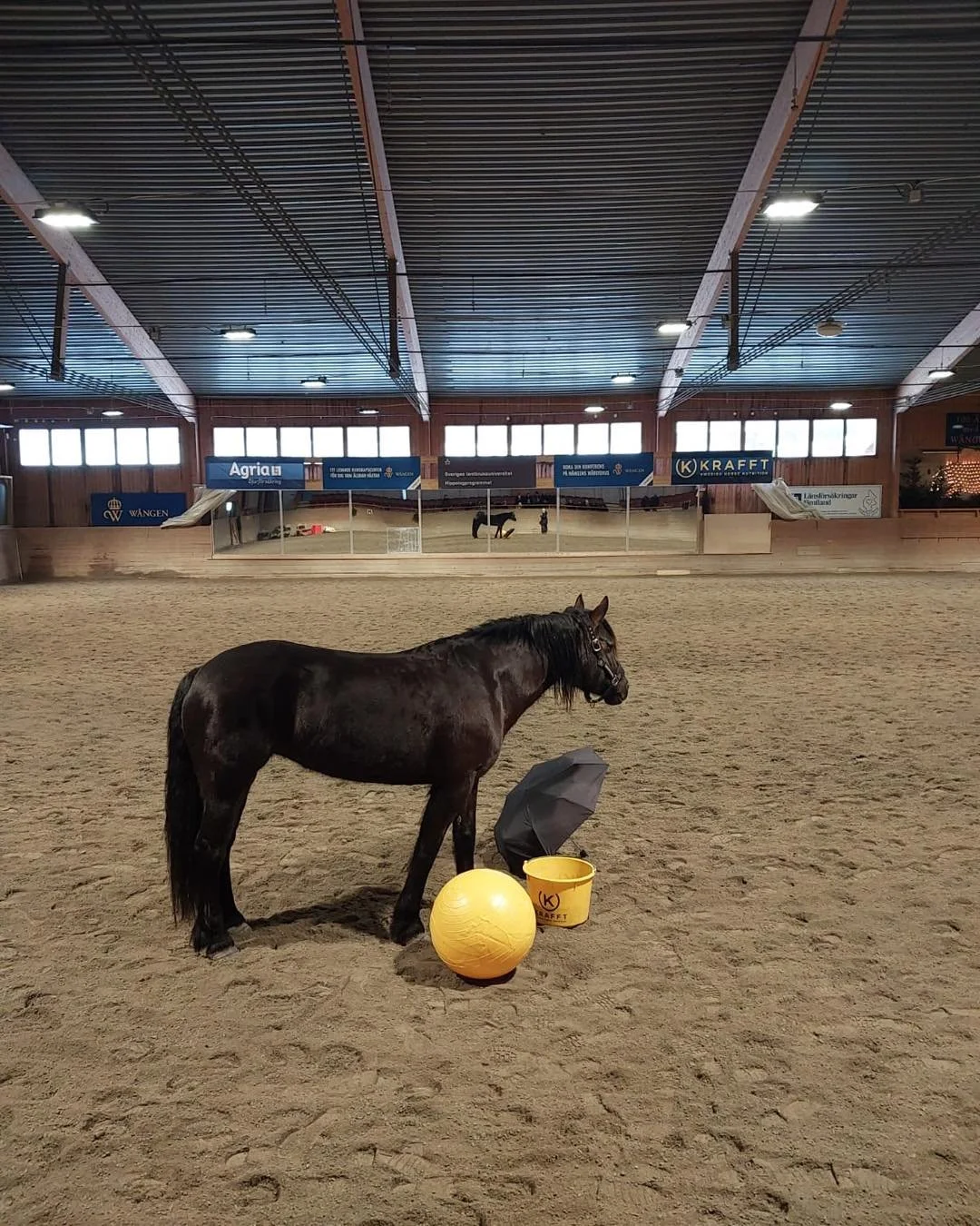 Mik&auml; on hevosurheilun sosiaalinen lisenssi? Muun muassa sit&auml; sek&auml; hevosten hyvinvointia ja oppimista pohdittiin viime viikolla Ruotsin W&aring;ngenissa kurssilla, joka kokosi yhteen hevosalan toimijoita ja tutkijoita. Kurssilla k&auml;