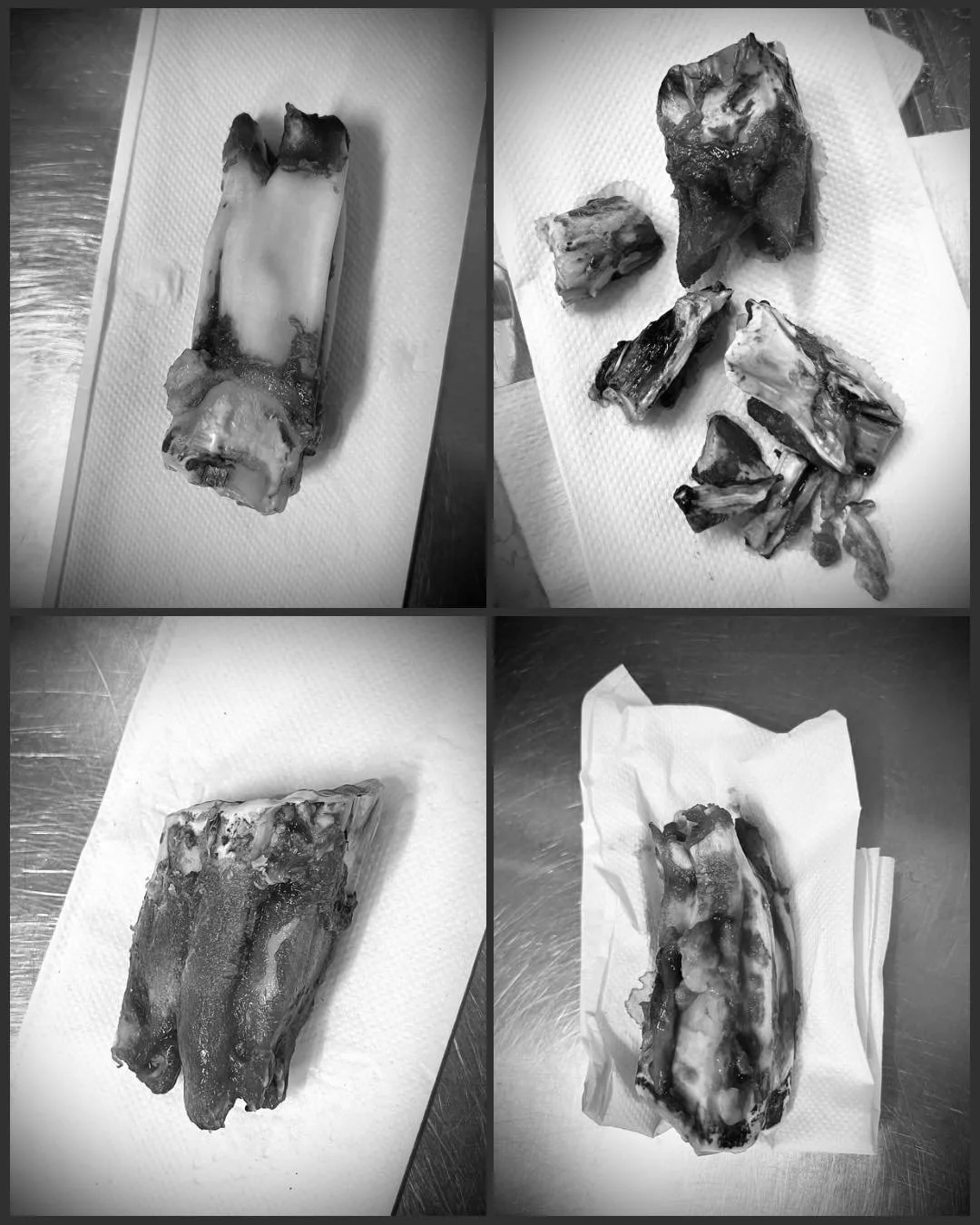 Poskihampaan poisto - toimenpiteen&auml; melko iso, mutta varsin yleinen!

Kun hammassairauden hoito ei muilla keinoin ole mahdollista, hammas joudutaan poistamaan. Hevosen poskihampaan poisto on toimenpiteen&auml; melko iso, mutta varsin yleinen.

V