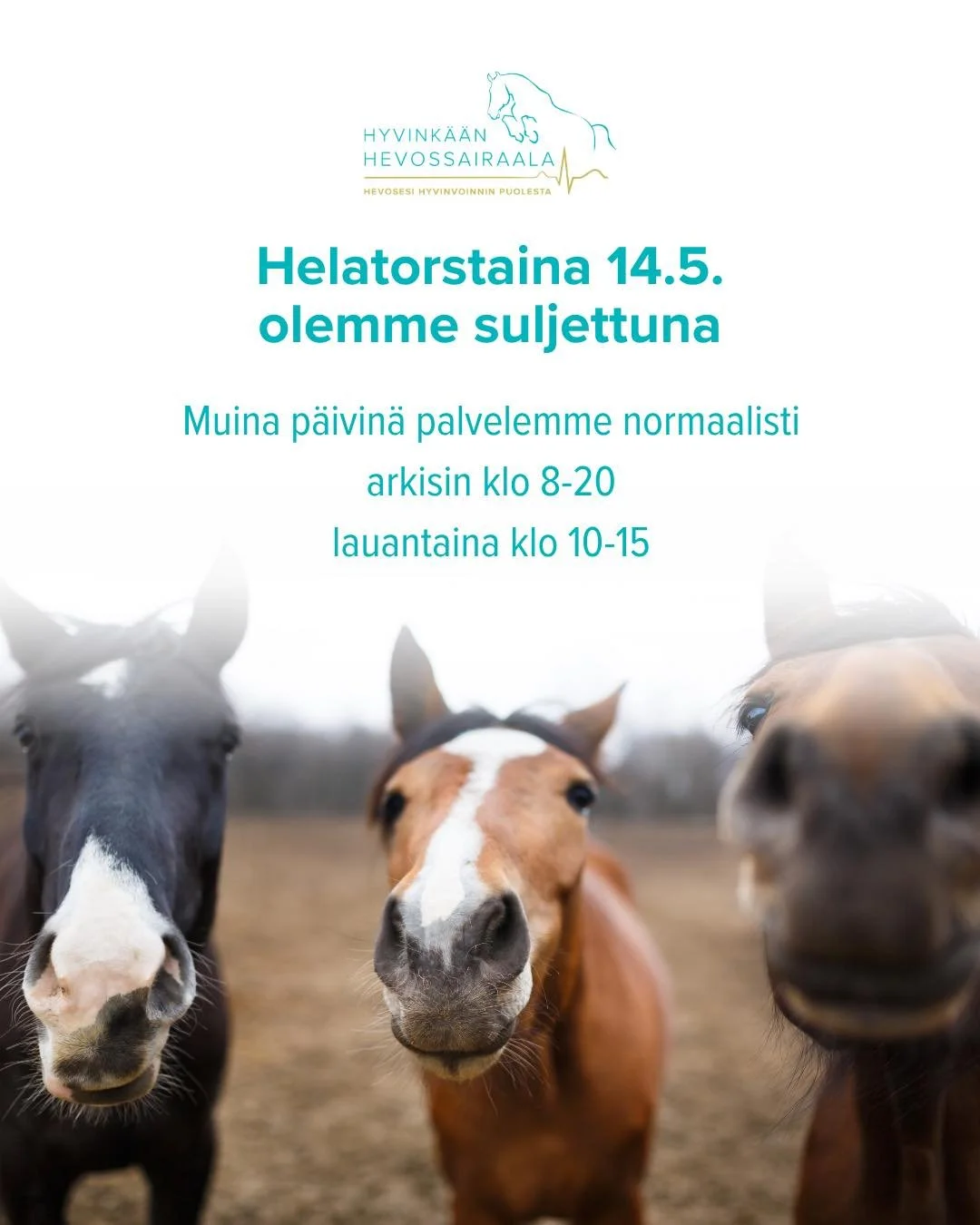 Ensi viikolla aukioloajoissamme on poikkeus, sill&auml; helatorstaina 14.5. olemme suljettuna. Viikon muina p&auml;ivin&auml; palvelemme normaalisti!