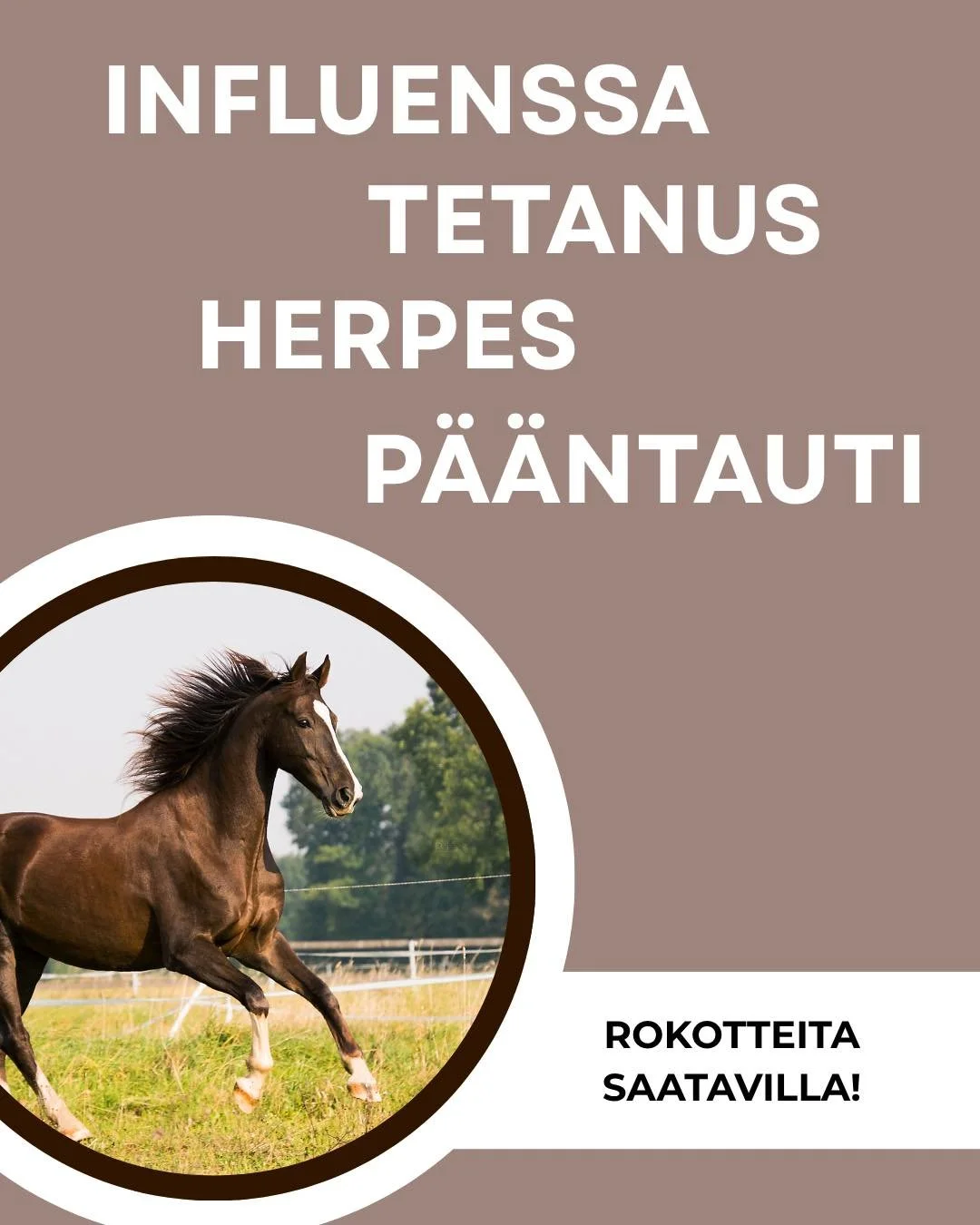 Rokotuksen aika? My&ouml;s ehv- eli herpesrokotteita taas saatavilla! Ajan voit varata soittamalla, s&auml;hk&ouml;postilla tai nettiajanvarauksen kautta.
