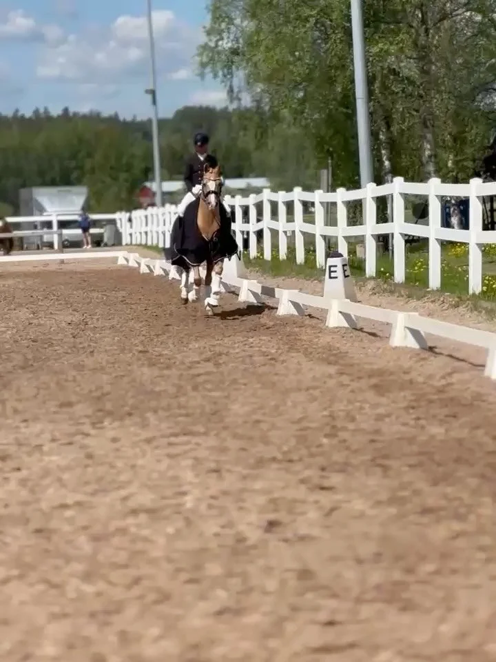 Viime viikonloppuna Hyvink&auml;&auml;n Hyypp&auml;r&auml;ss&auml; kilpailtiin sek&auml; koulu- ett&auml; esteratsastuksessa.

Hyvink&auml;&auml;n Urheiluratsastajien koulukilpailuissa Prix de Hyvink&auml;&auml;n Hevossairaala Inter II -luokan voitto