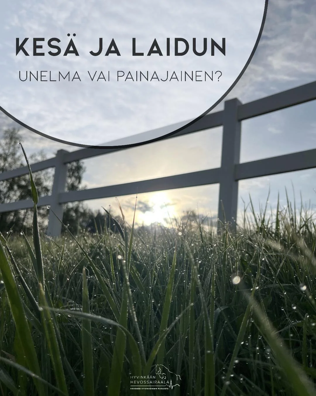 Laiduntamiseen liittyy riskej&auml;, joista yksi on kaviokuumeeseen sairastuminen.

Kaviokuumeen riskiarviointia on mahdollista tehd&auml; yhdess&auml; el&auml;inl&auml;&auml;k&auml;rin kanssa. Arviointiin voidaan yhdist&auml;&auml; my&ouml;s laborat