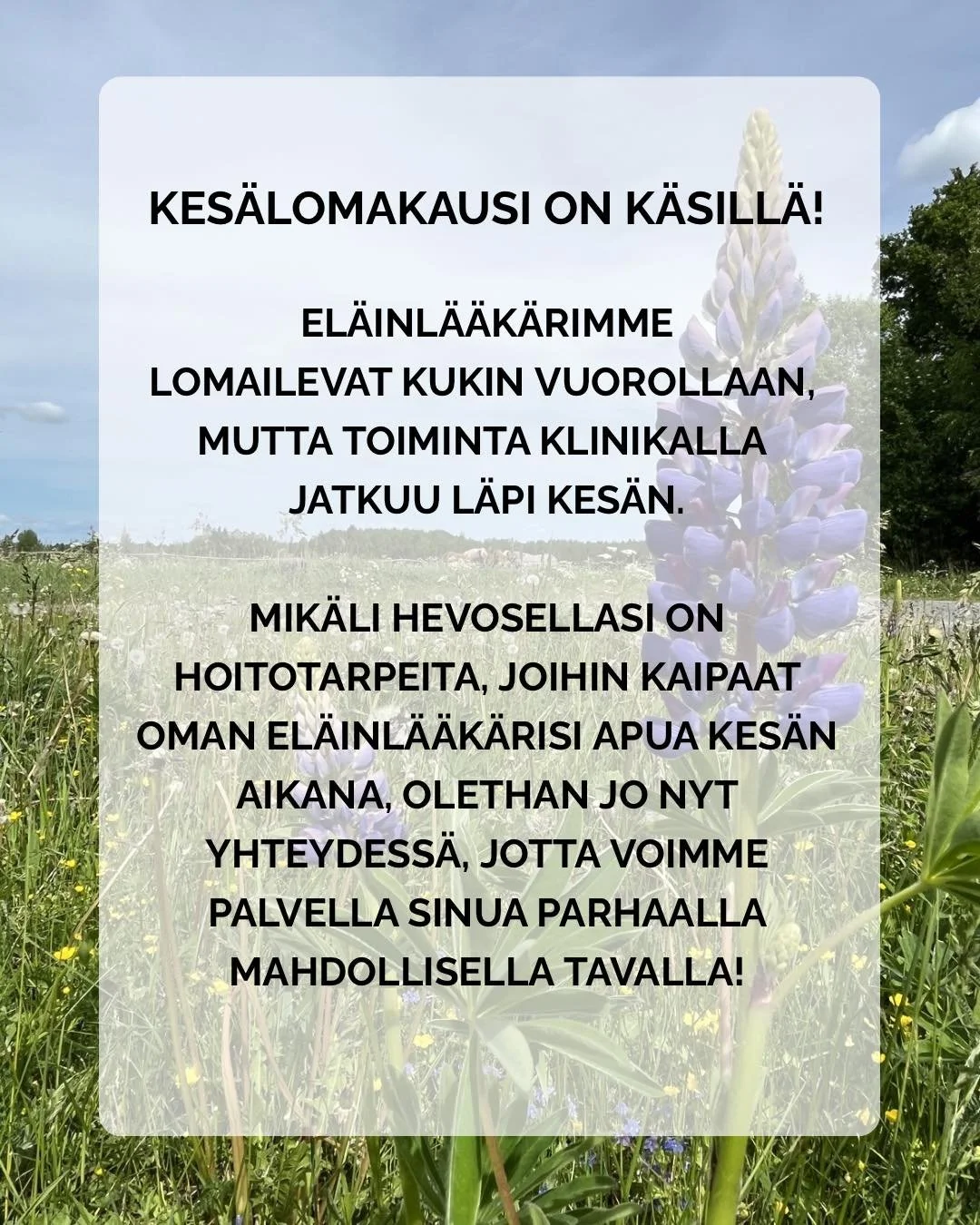 Kes&auml;lomakausi on k&auml;sill&auml; ☀️

Nyt on hyv&auml; hetki suunnitella tiedossa olevien kes&auml;kuukausille osuvien hoitotarpeiden ajanvaraukset ja tarkistaa reseptien uusimis- sek&auml; et&auml;konsultaatiotarpeet, erityisesti, jos kaipaat 