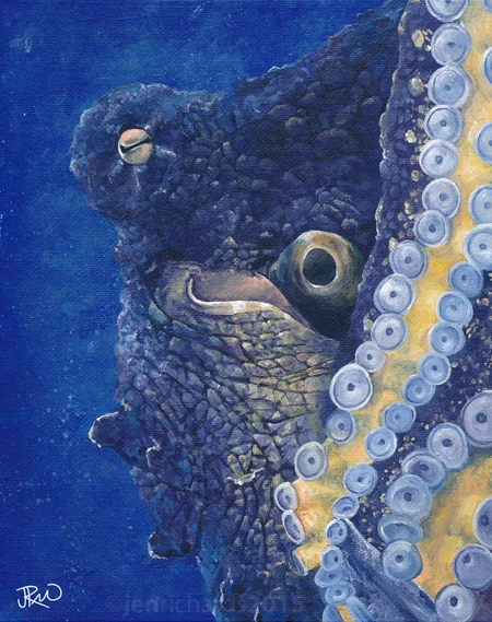 Day octopus, 2015 Acrylic on canvas board 8 x 10 inches AVAILABLE