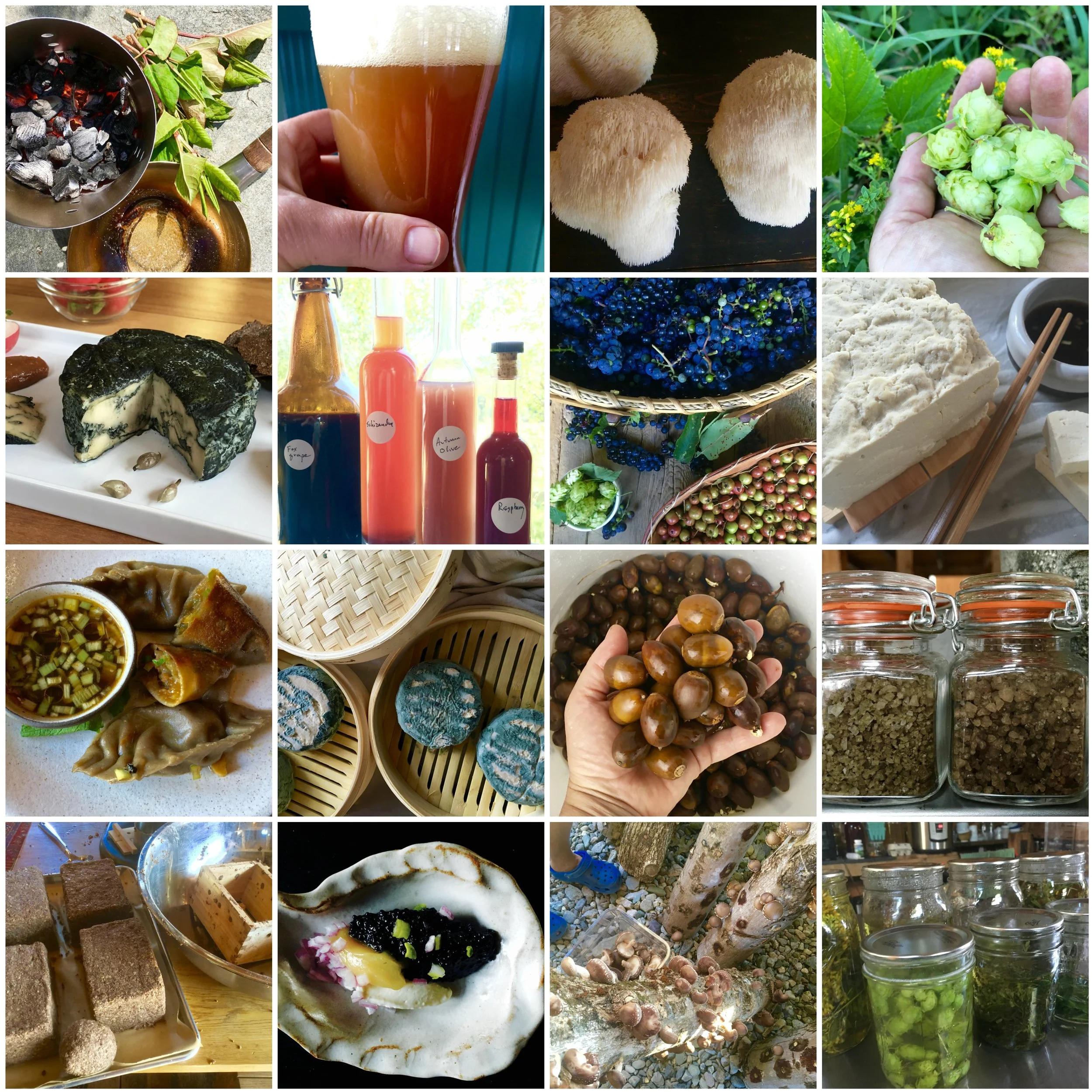 BeFunky Collage.jpg