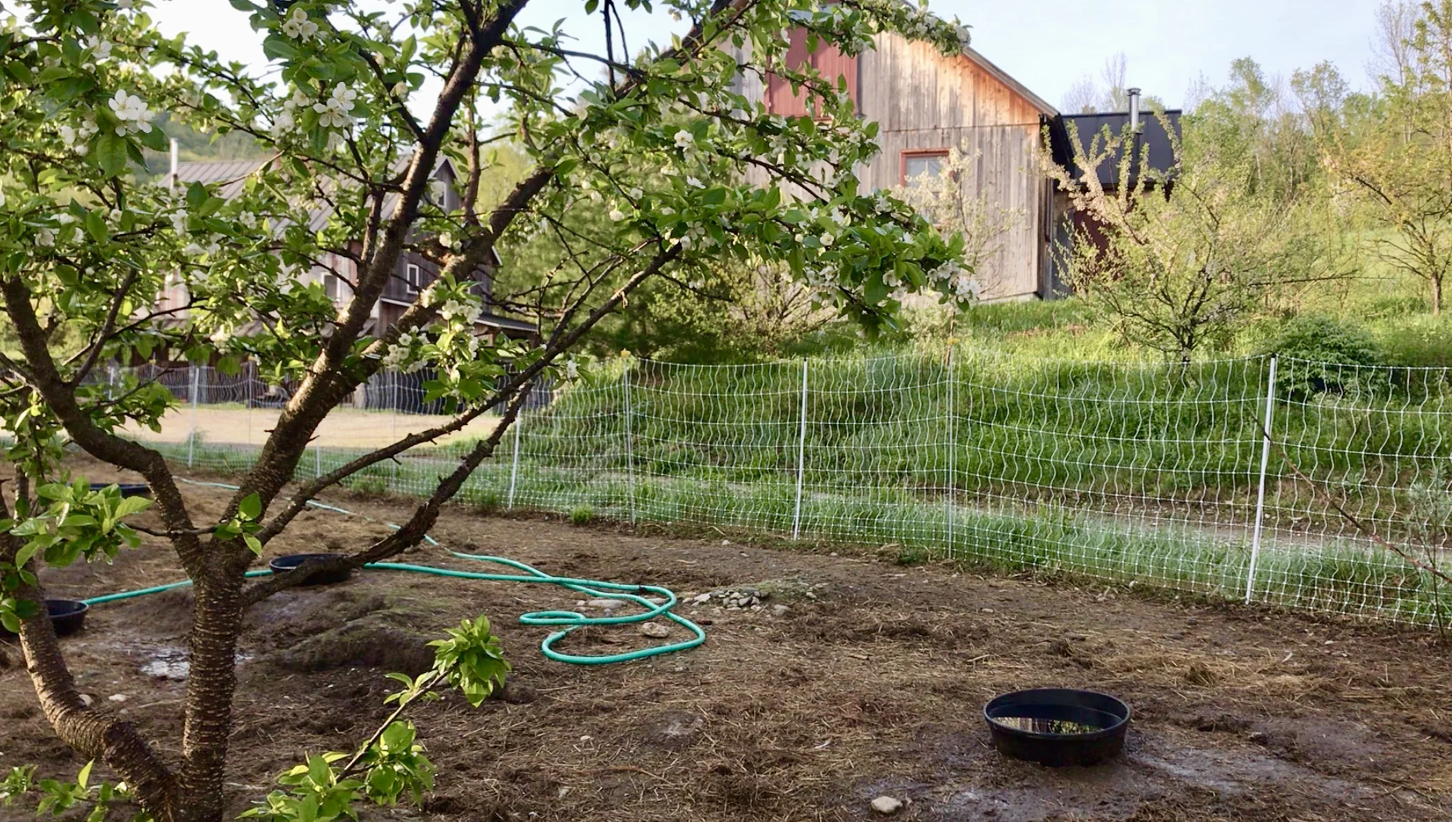 Harmonizing Sanctuary and Farm