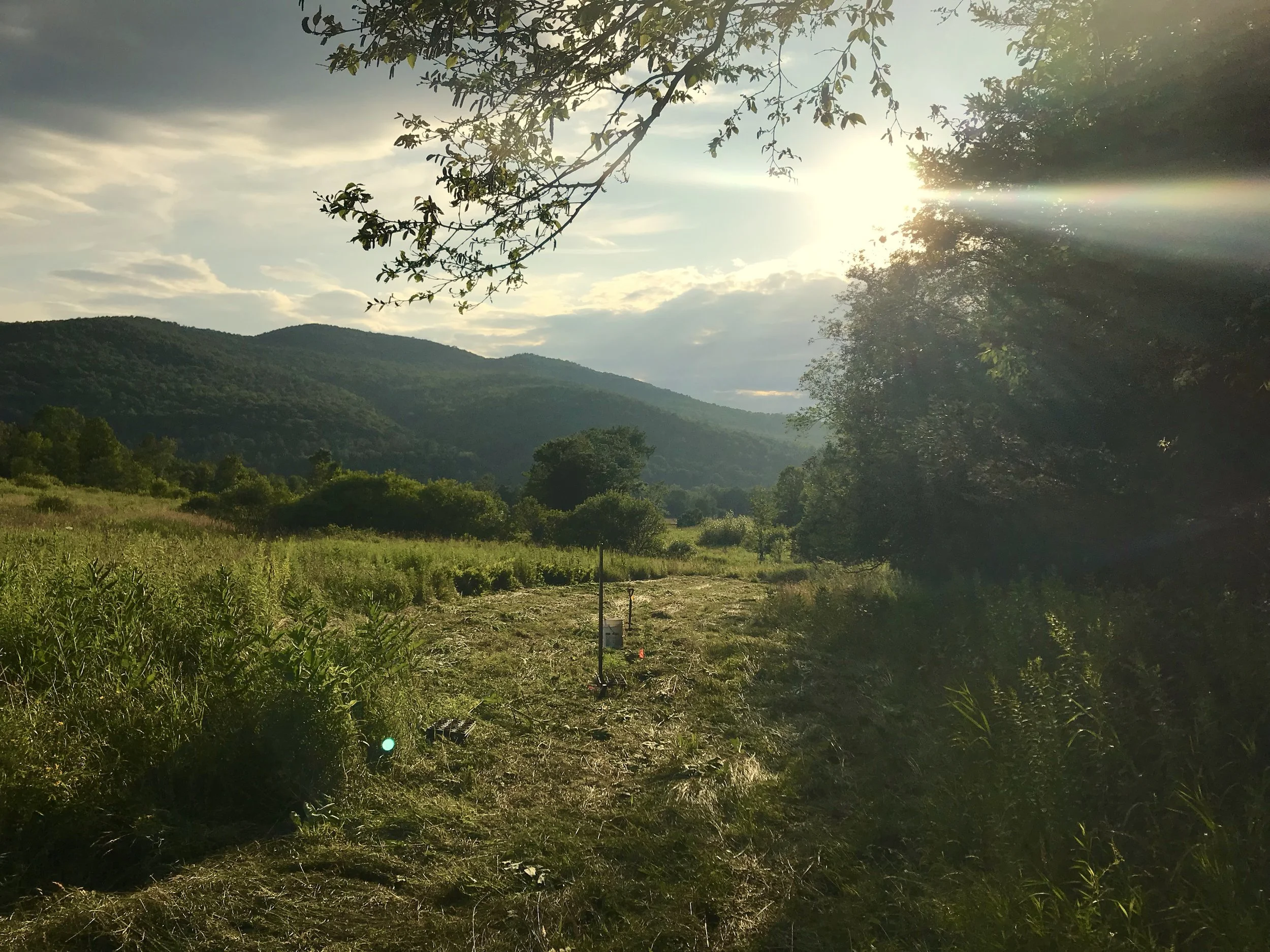 THE ROLE OF WILDLIFE IN RESTORATIVE, REGENERATIVE SYSTEMS: A VISION FOR FUTURE FARMING: 