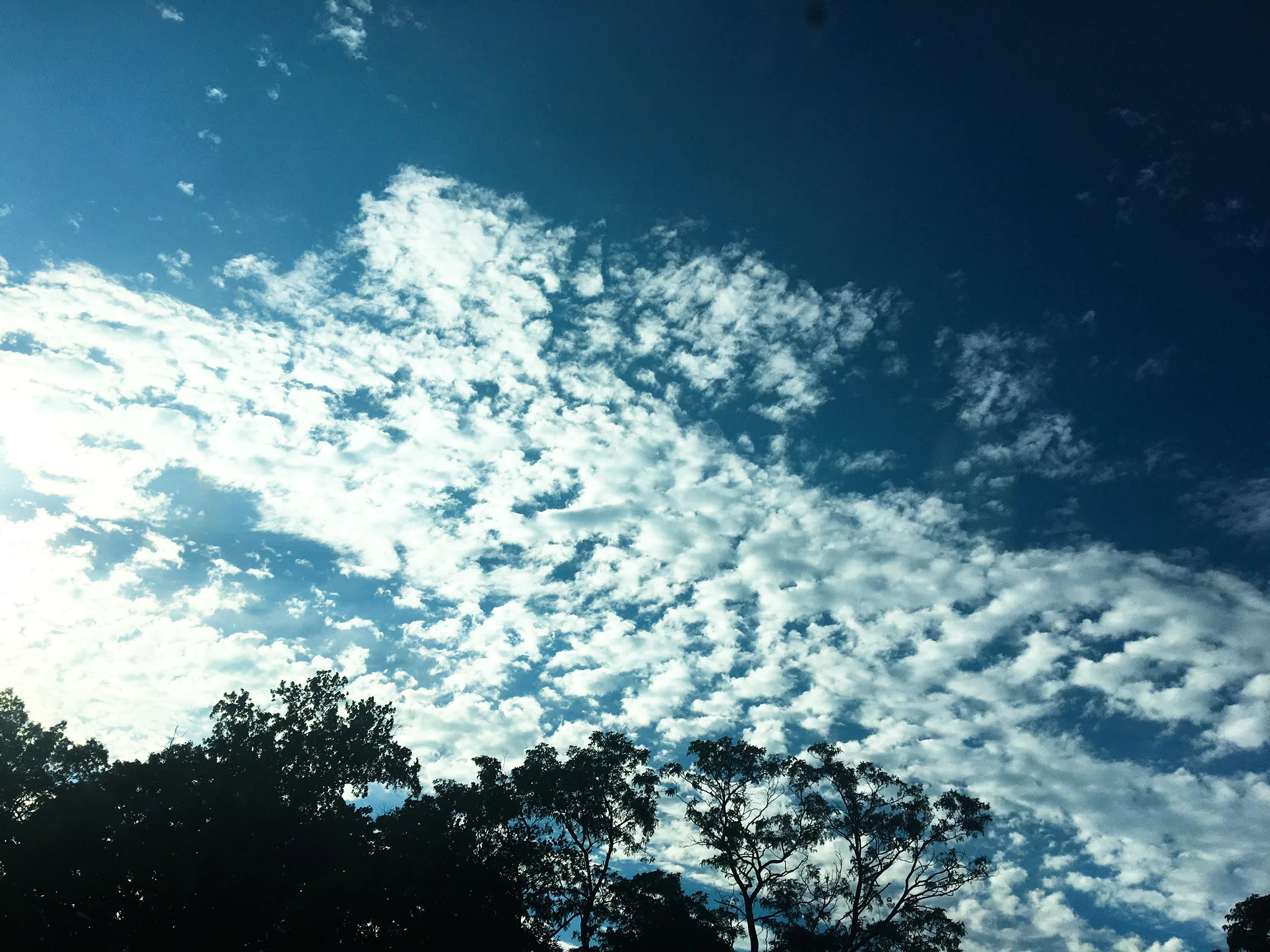 07785fed-f2e8-4be0-8c6c-ae73c3efdabb.jpg