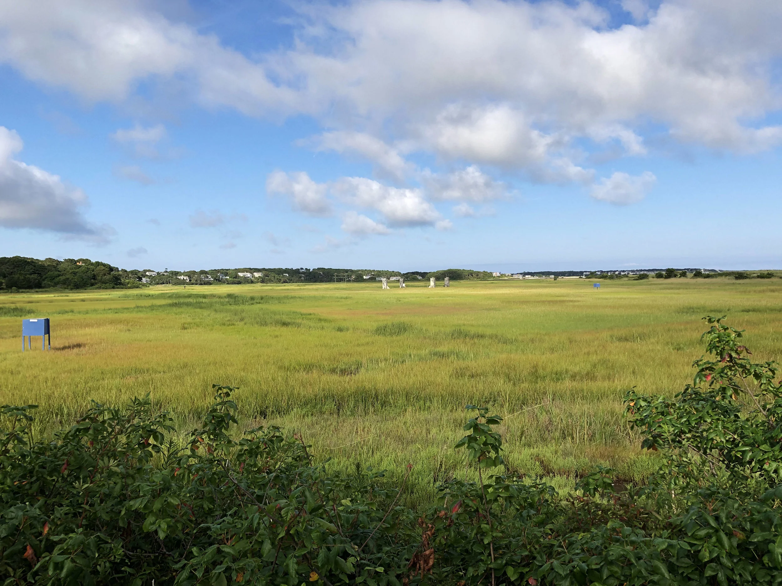 Cape Cod Scene (Copy)
