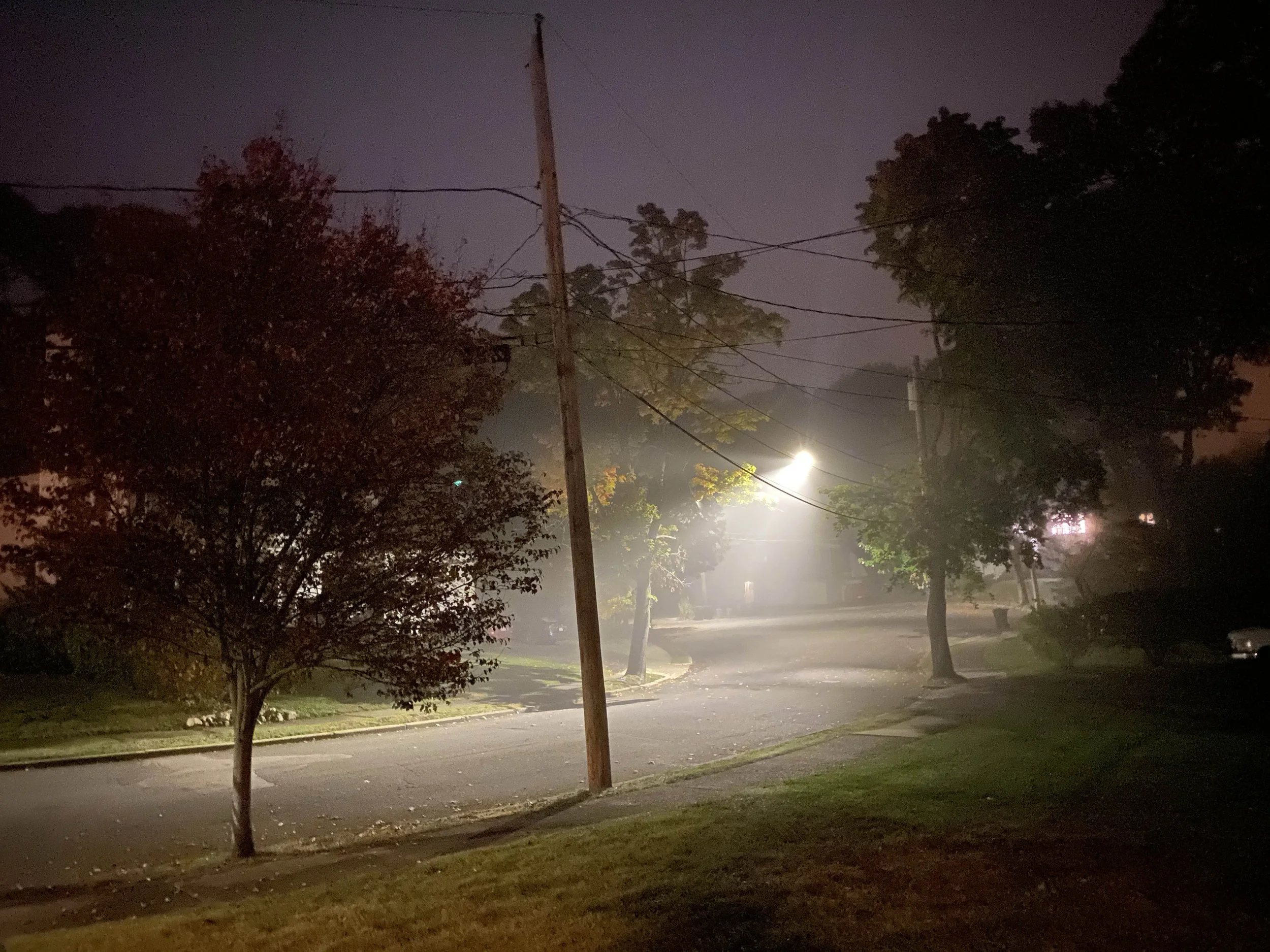 Dusk.jpg