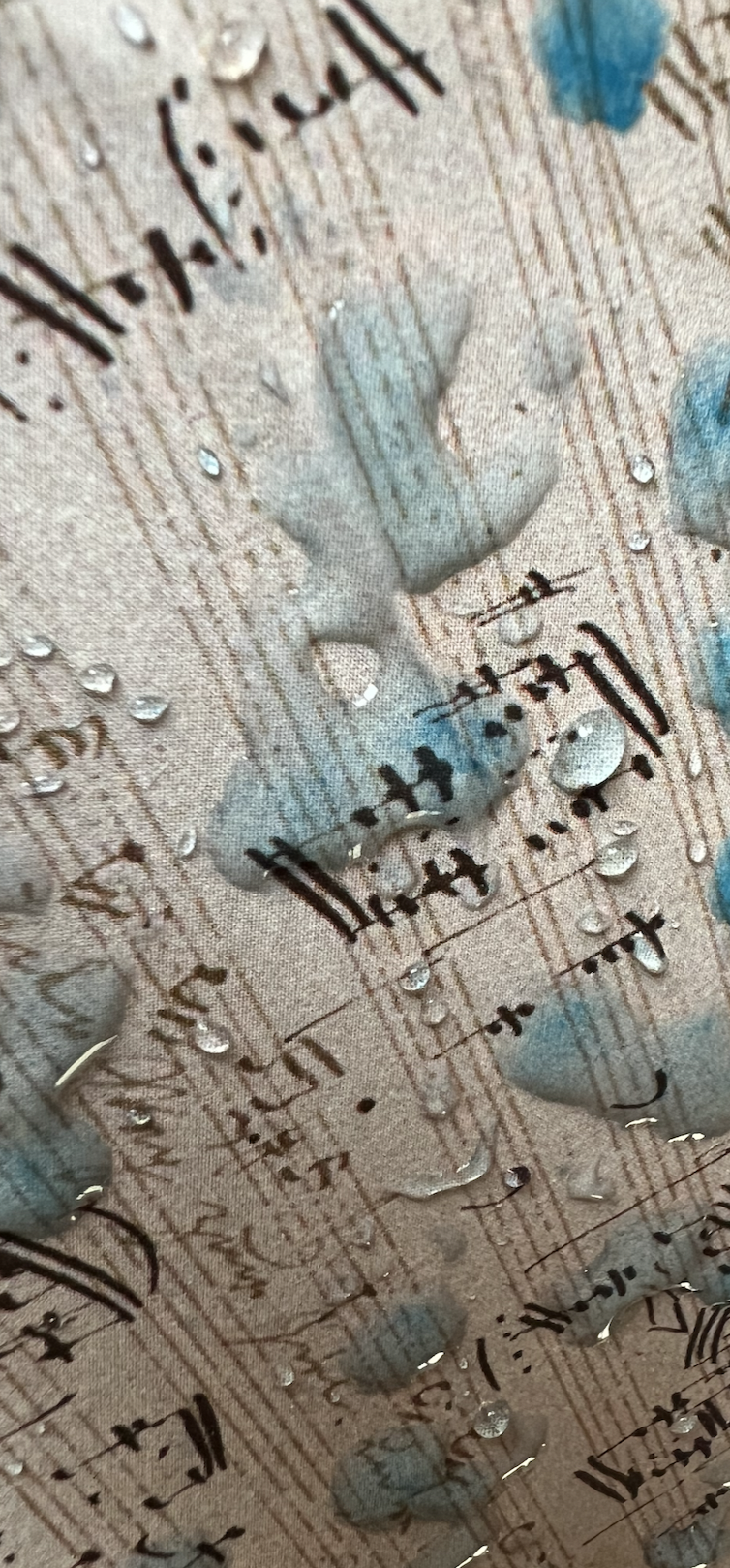 A Circle | finding Ecological Sound Art in Schubert | House Concert | San Francisco