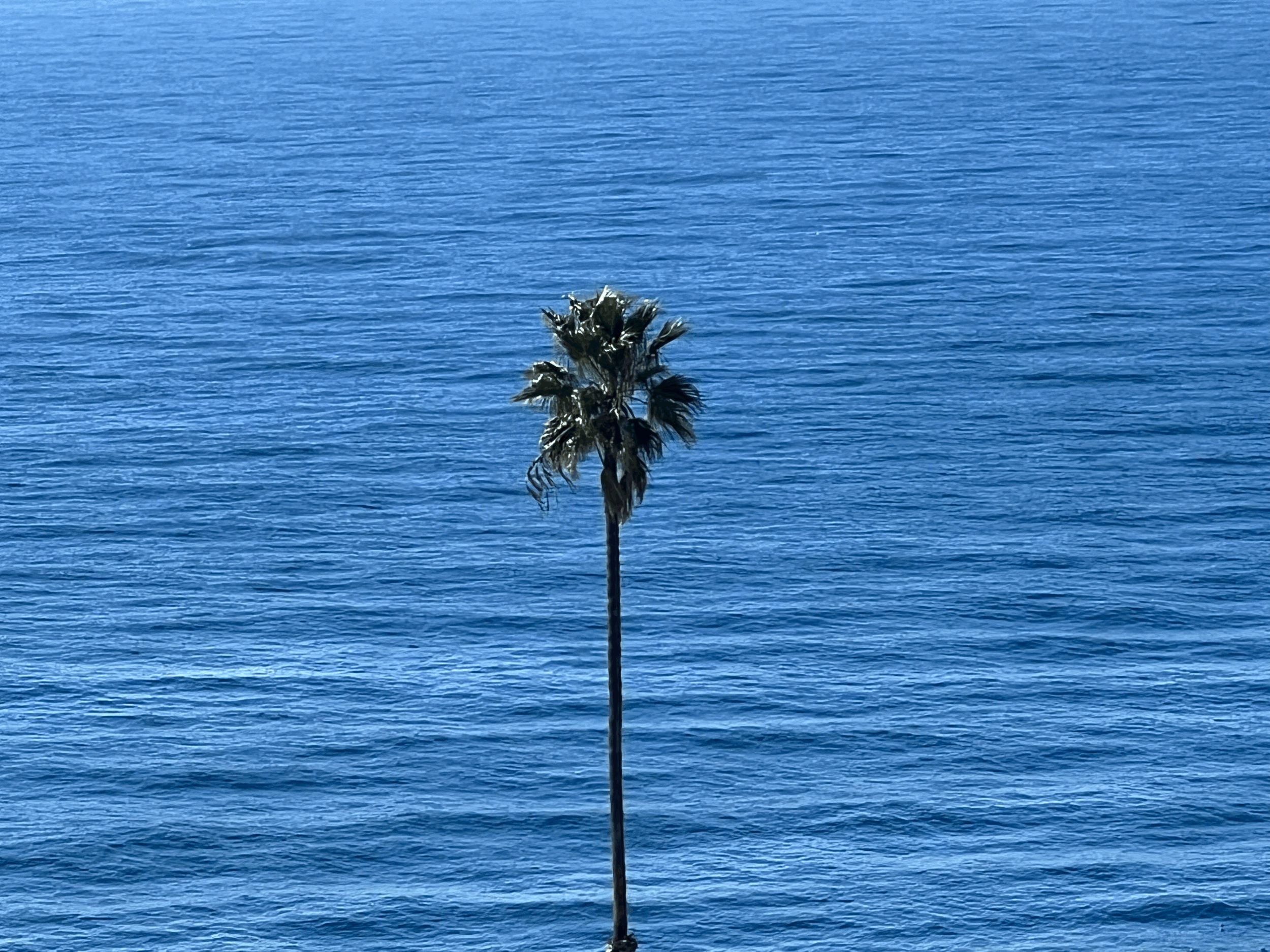 excerpts from Schwanengesang and Winterreise | House Concert | Los Angeles