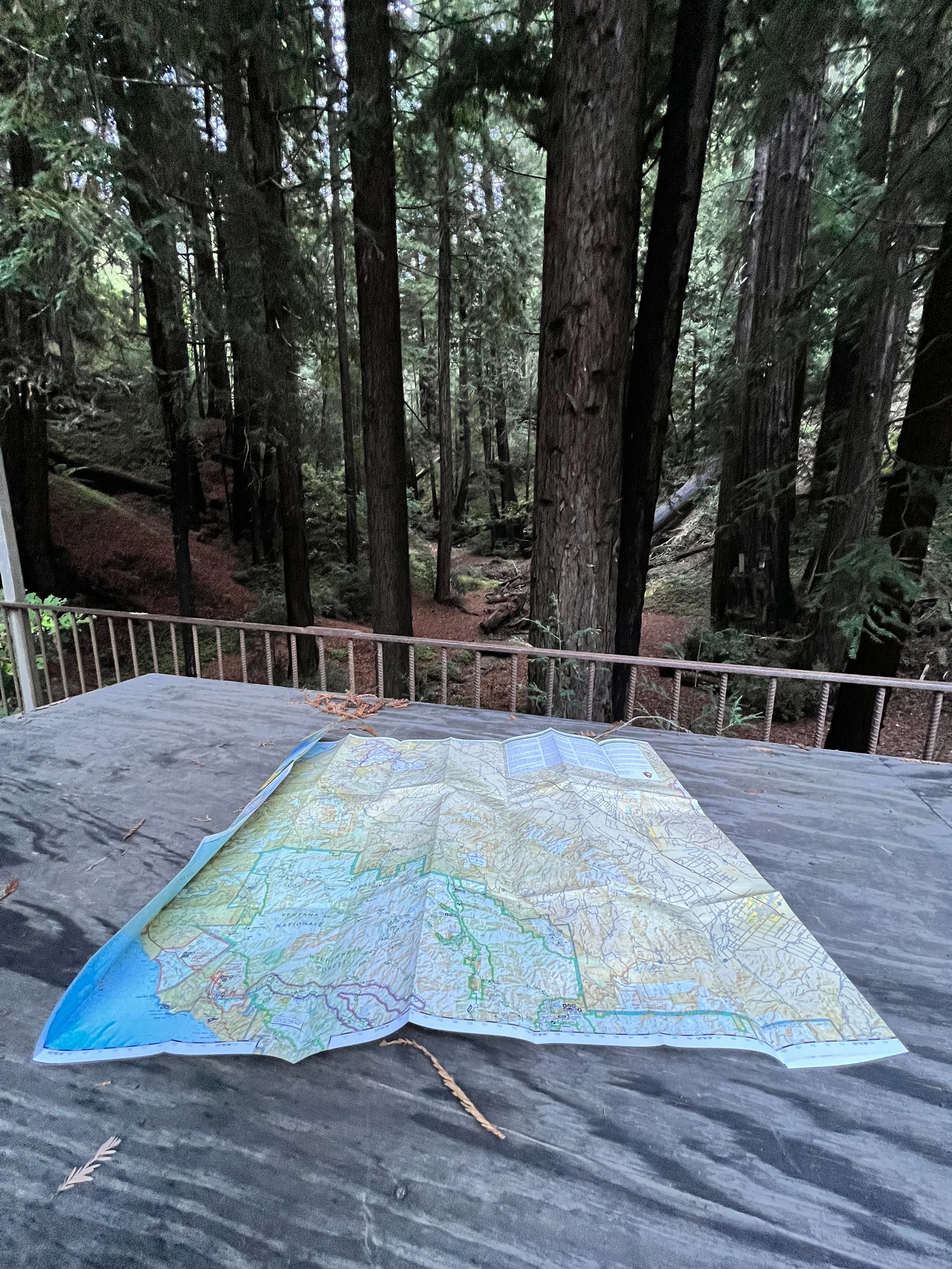 cyclical sound environment | A Circle | Henry Miller Library | Big Sur