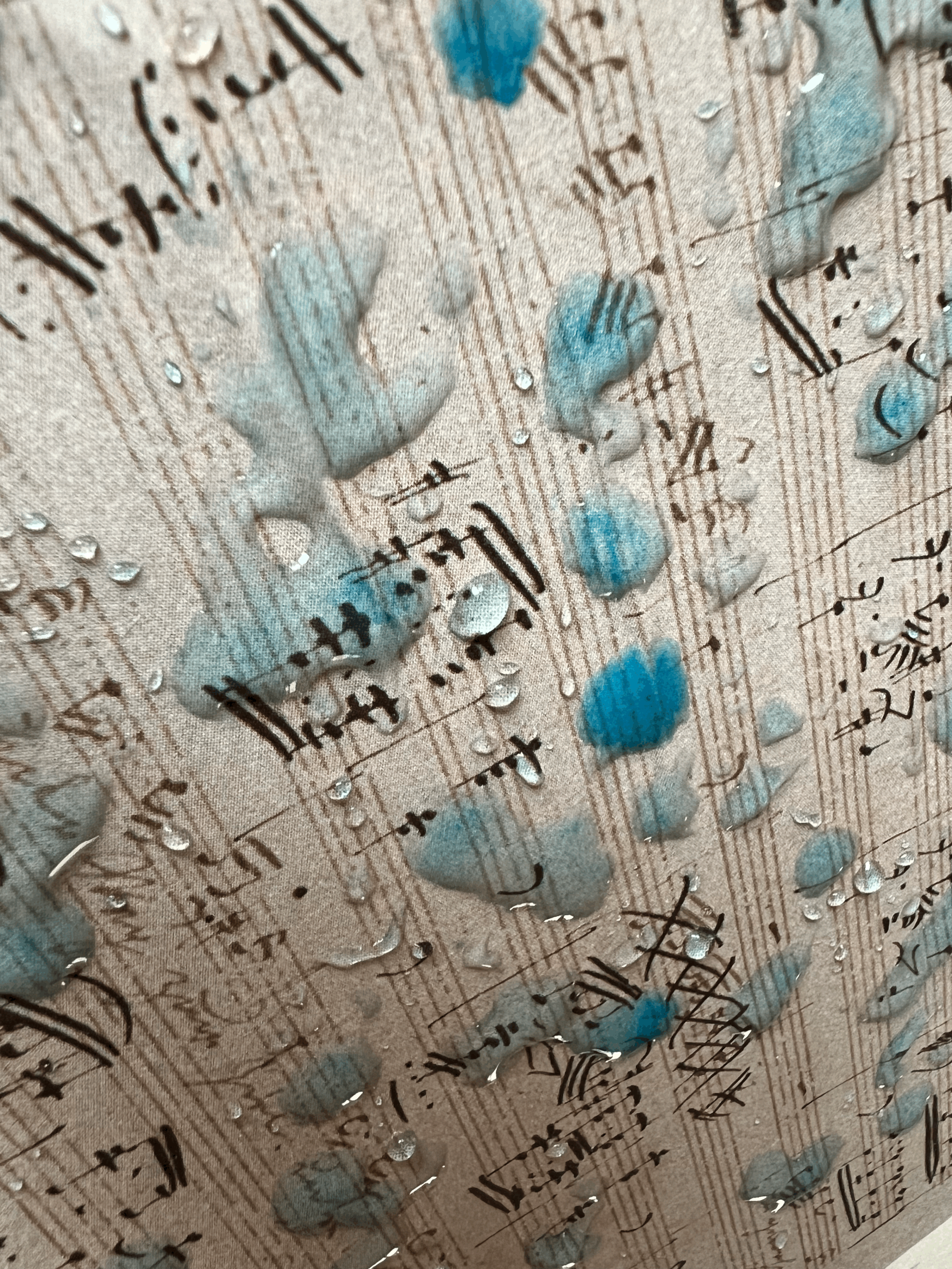 Lecture | Cornell University | song as bearer of environmental histories