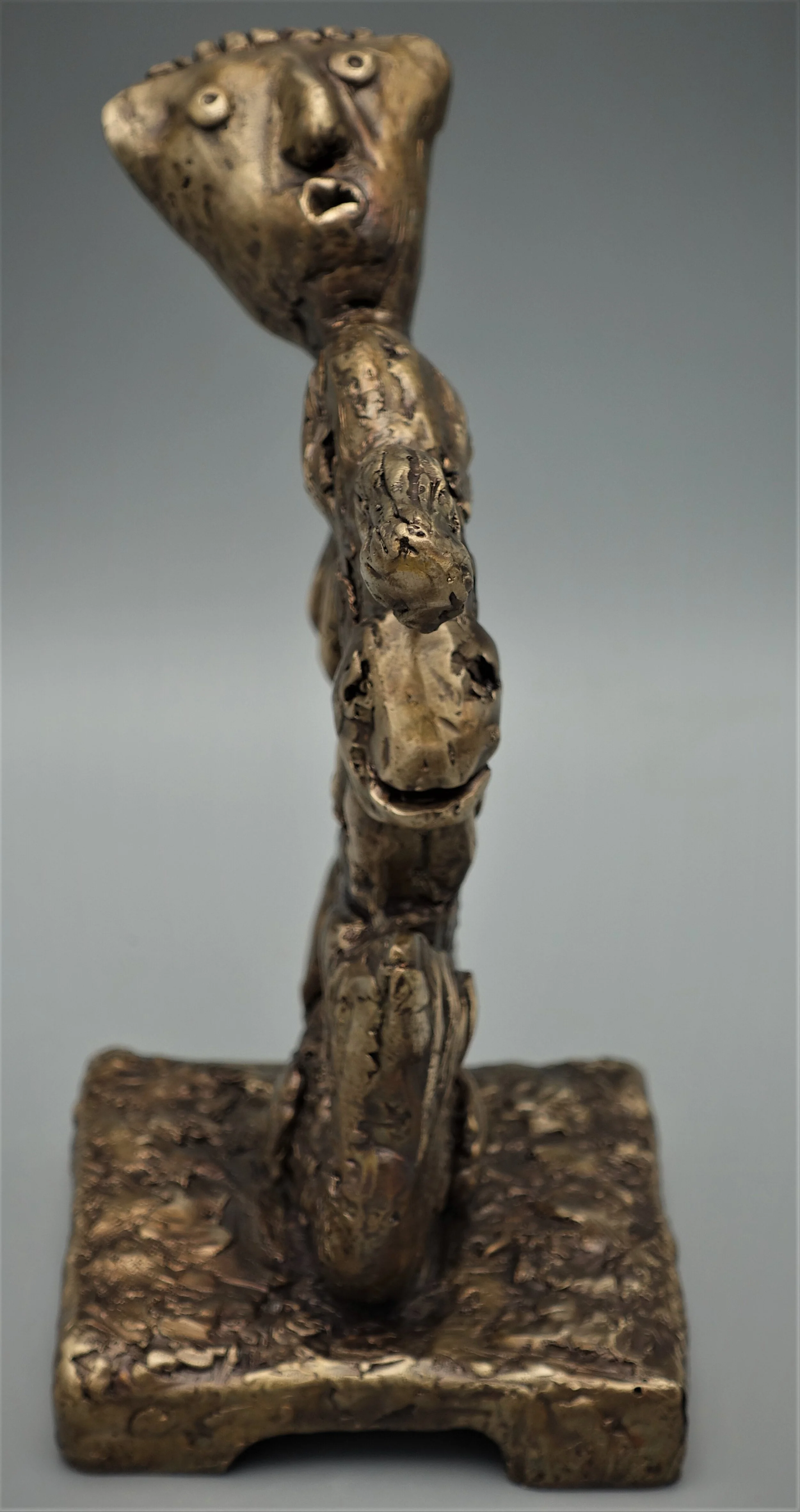 Janus -Rear.JPG