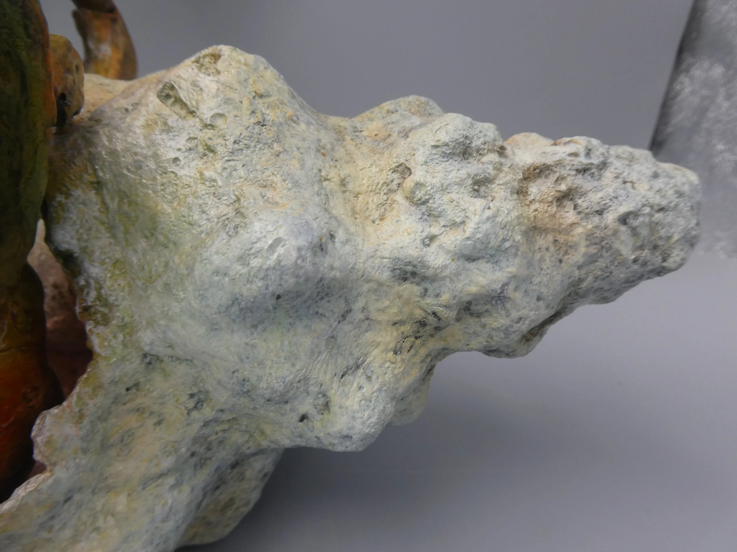 La Concha -Shell - Rear - Right.JPG