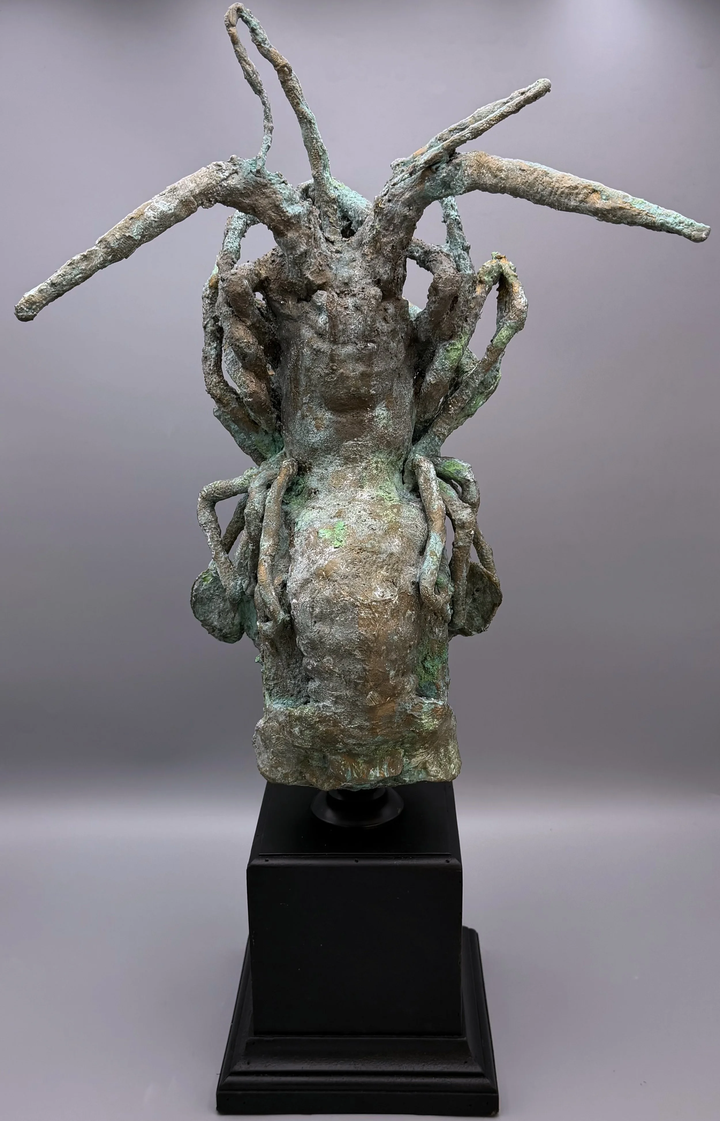 Medusa - Rear.jpg