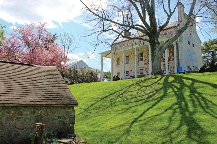 Zephaniah Farm Vineyard