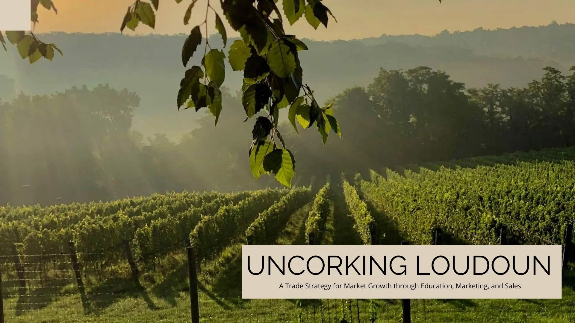 LWWA Trade Program Presentation.jpg