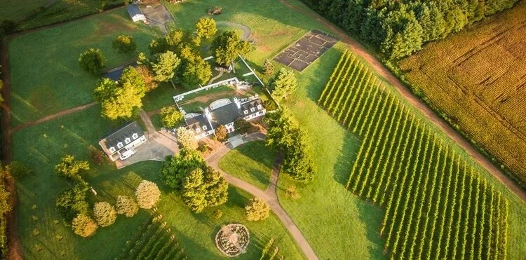 Bleu Frog Vineyards