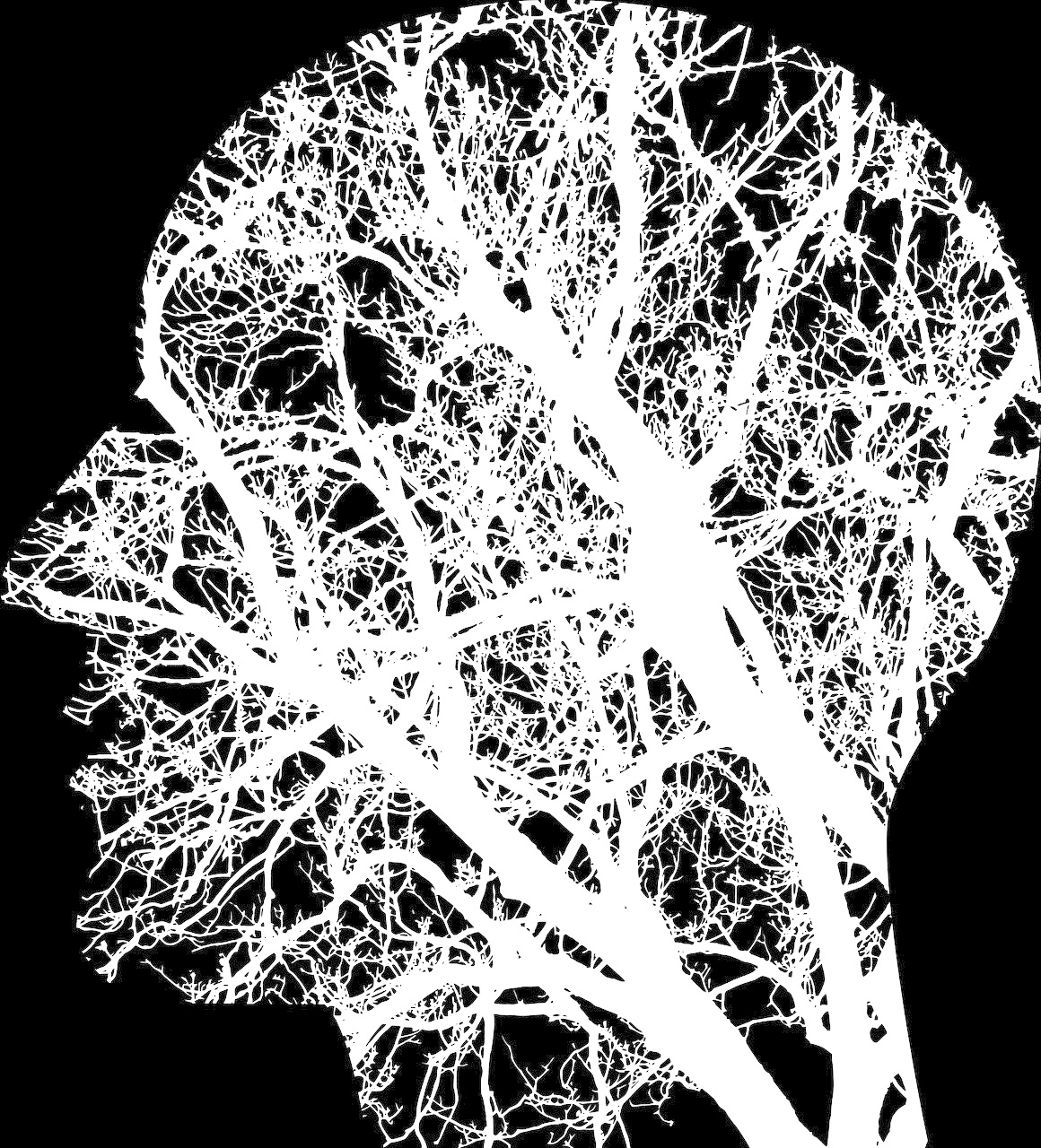 Tree Brain Image.jpg