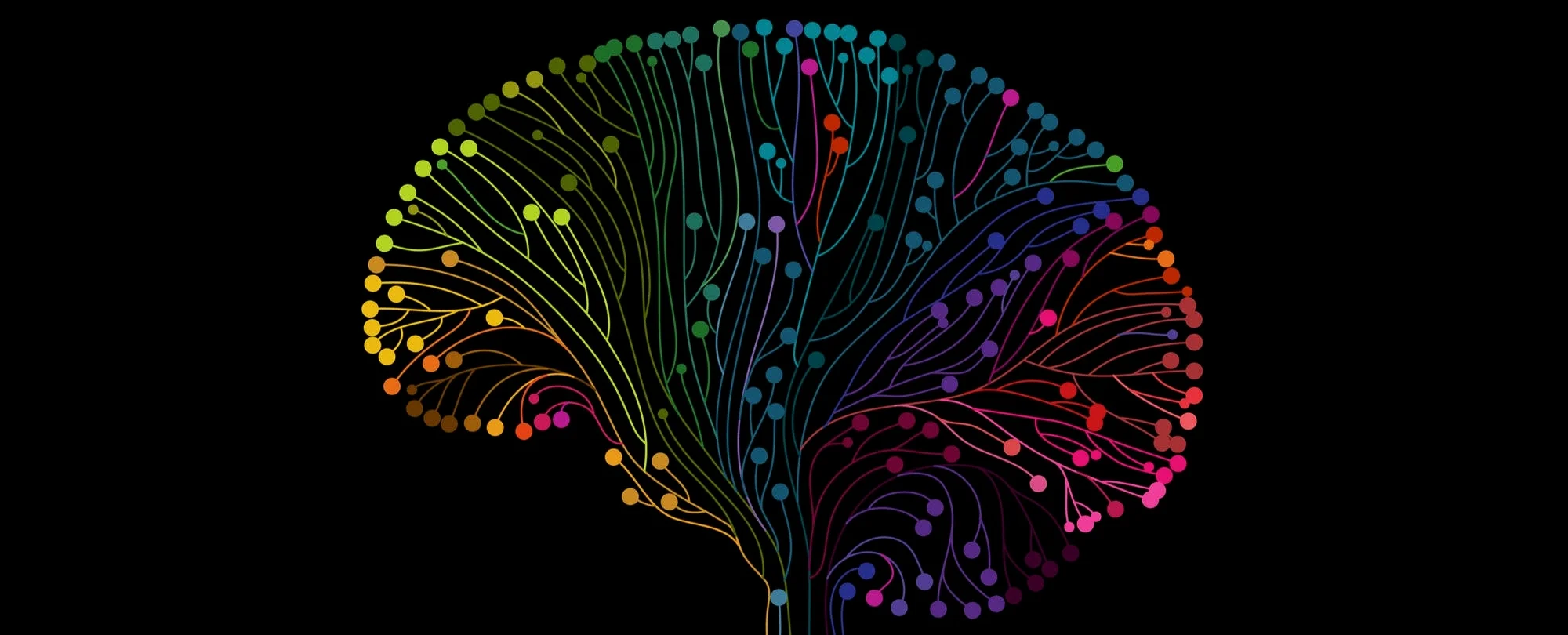 brain-1508781425 (1).jpg