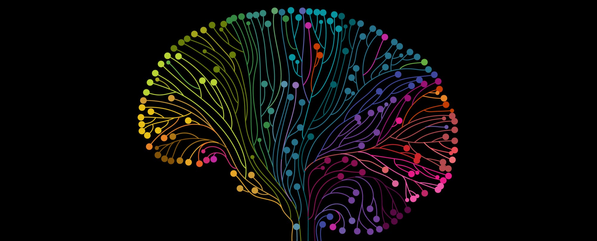 brain-1508781425 (1) copy.jpg