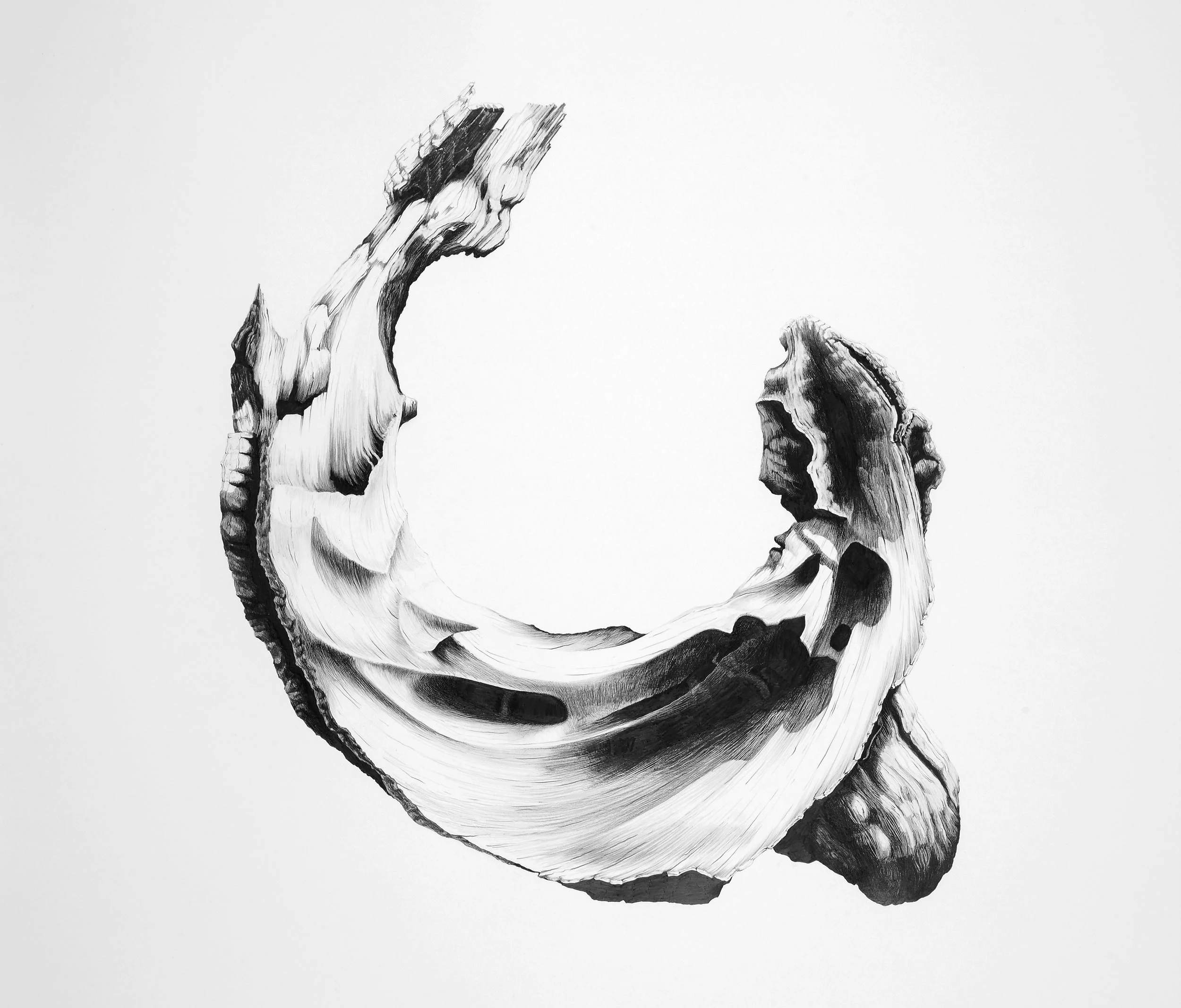 Curl