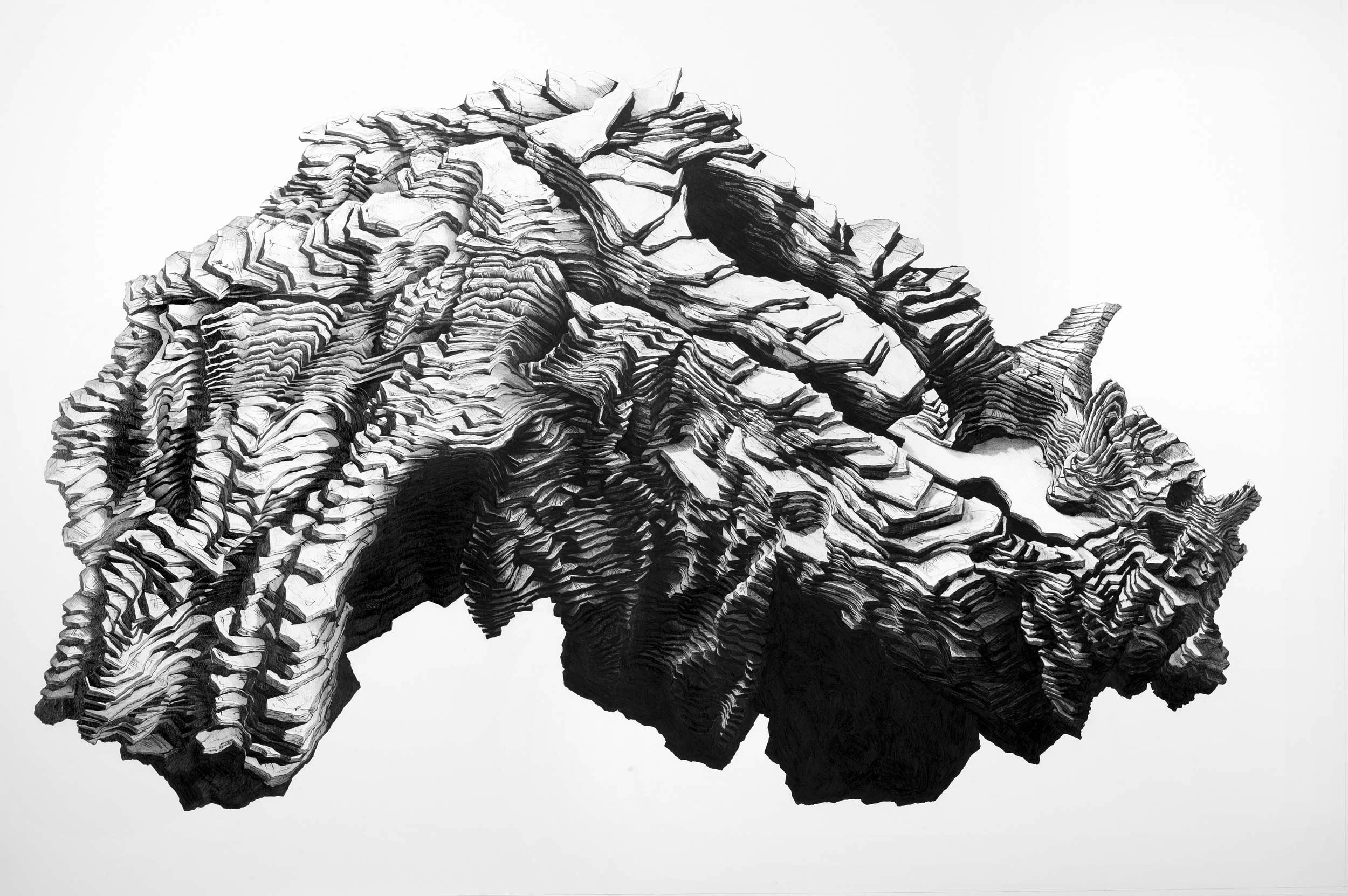 Head