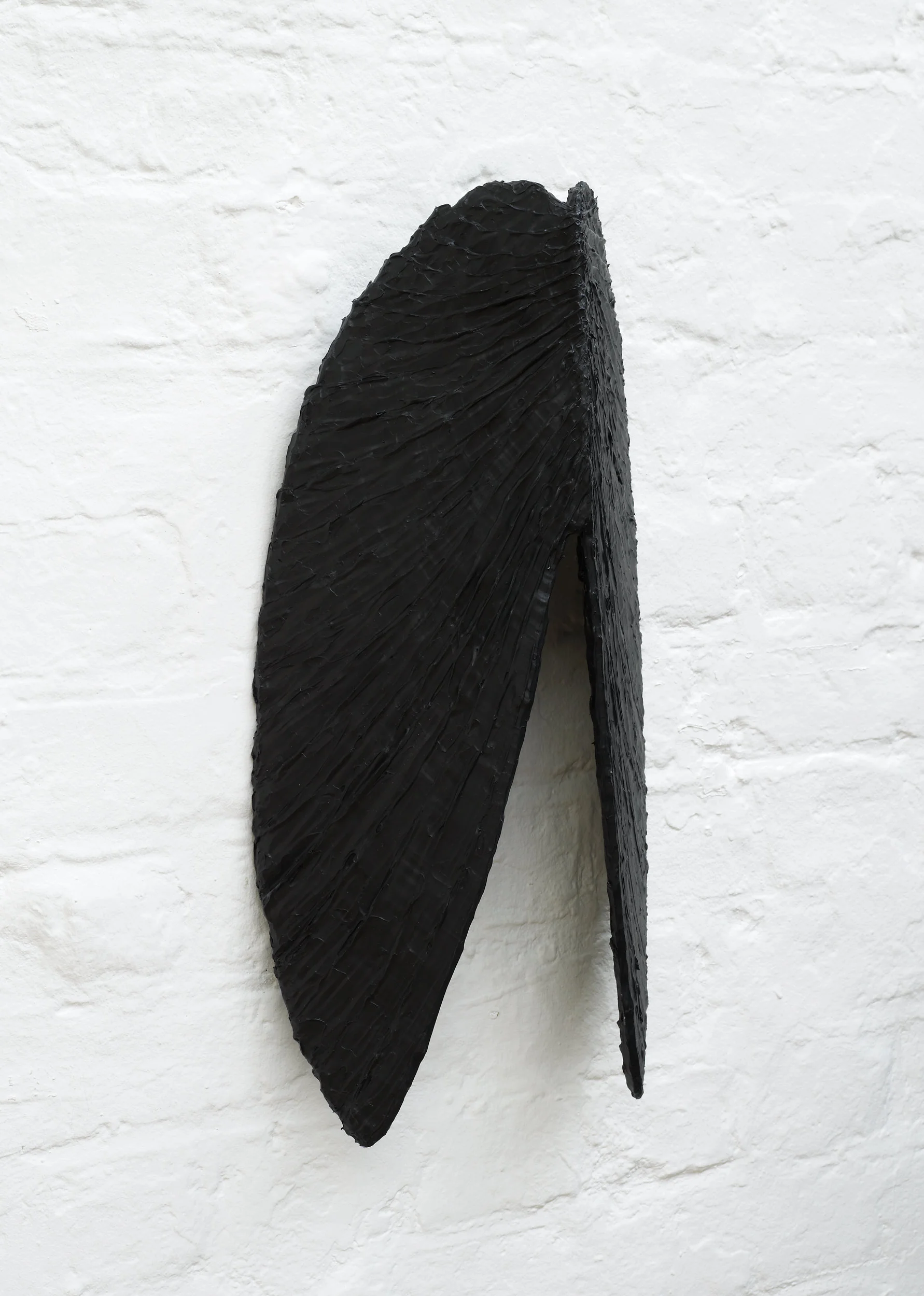 Mussel