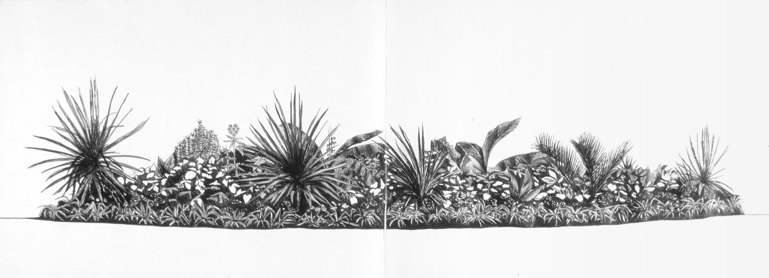 Study: Island