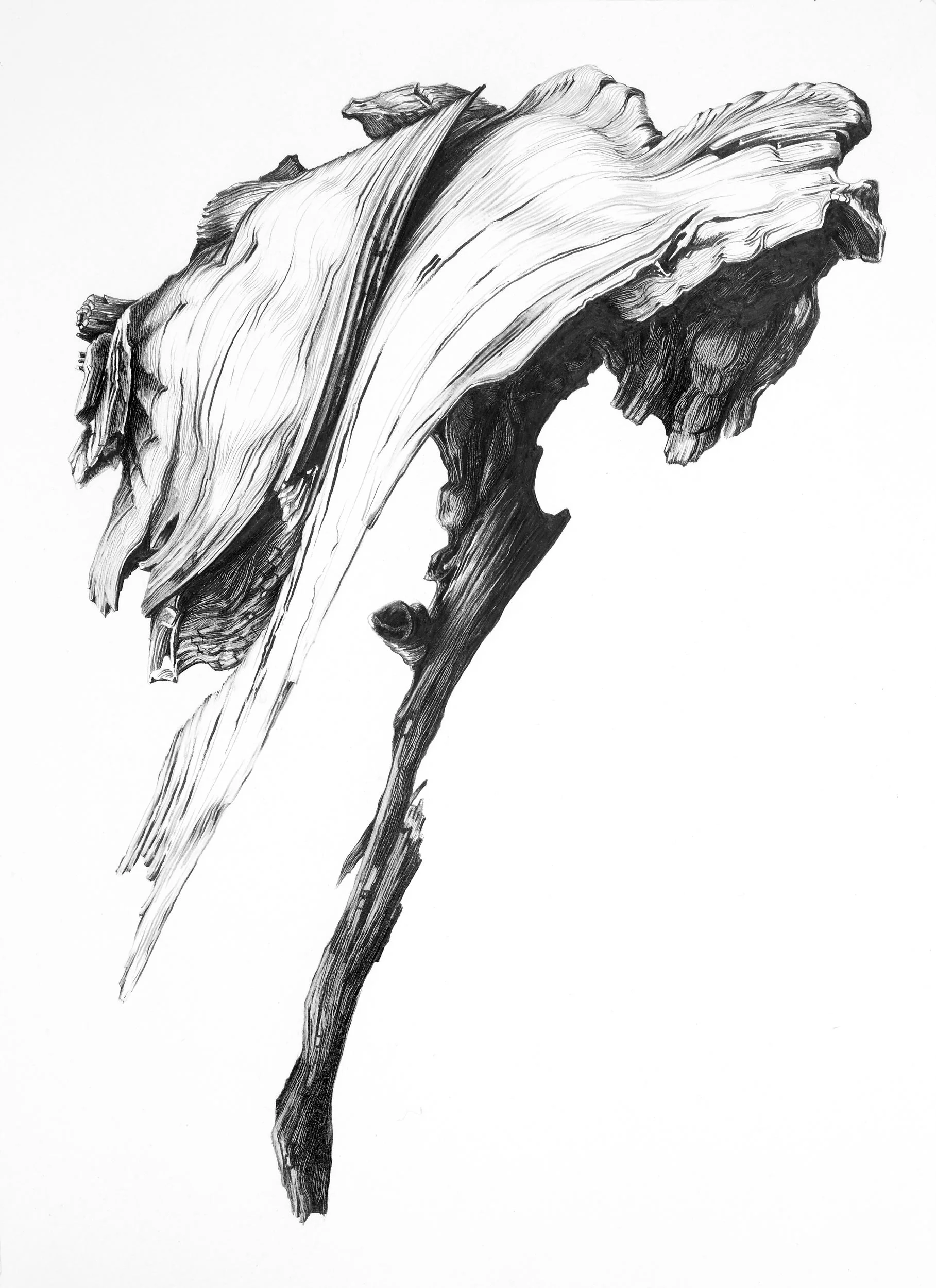 Study: Ghost