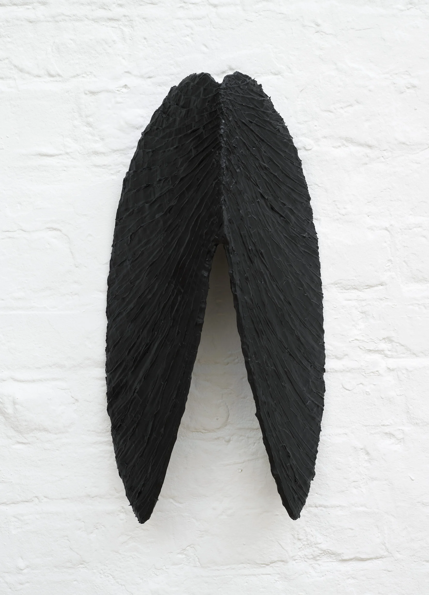 Mussel
