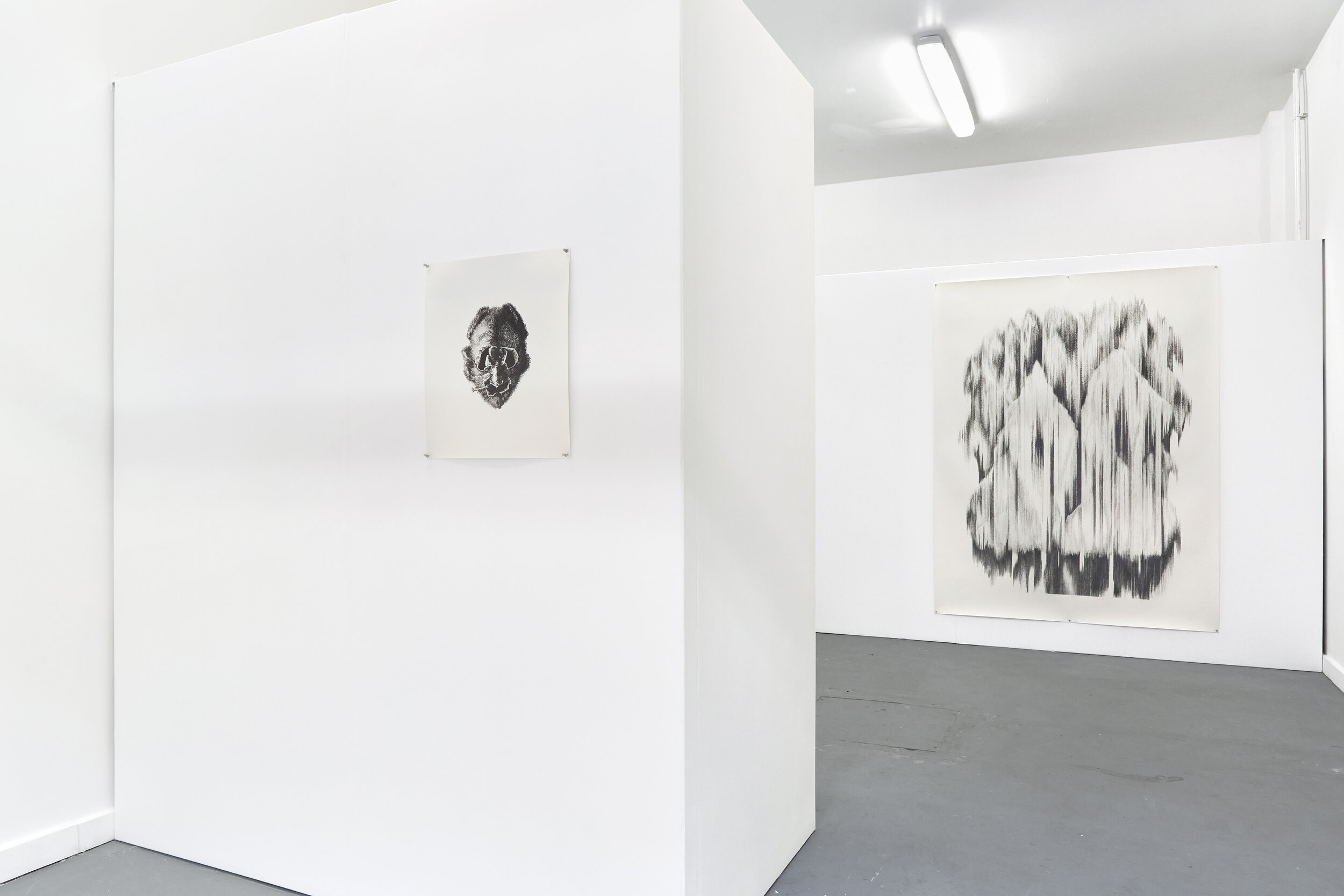  Installation view of ‘Floating Heads’ exhibition at Xxijra Hii project space in Deptford, London, 2021. On the left: ‘Floating Head’, pencil on paper, 50 x 42.5cm; on the right: ‘Alive is Afoot’, pencil on paper, 214.5 x 162.5cm, both from 2021.  