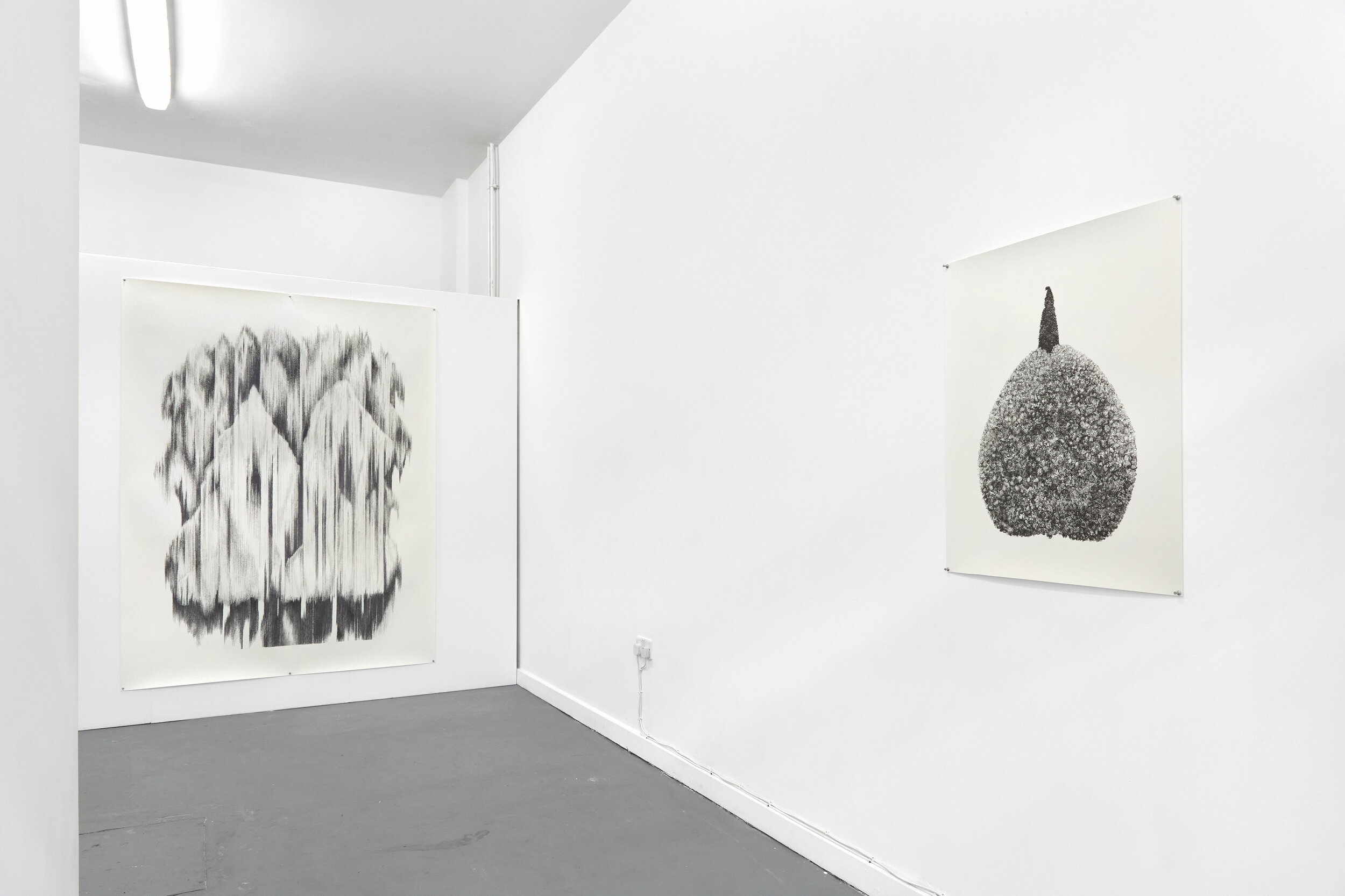  Installation view of ‘Floating Heads’ exhibition at Xxijra Hii project space in Deptford, London, 2021. On the left: ‘Alive is Afoot’, 214.5 x 162.5cm; on the right: ‘Plum with Tongue’, 85 x 66.5cm, both pencil on paper from 2021. 