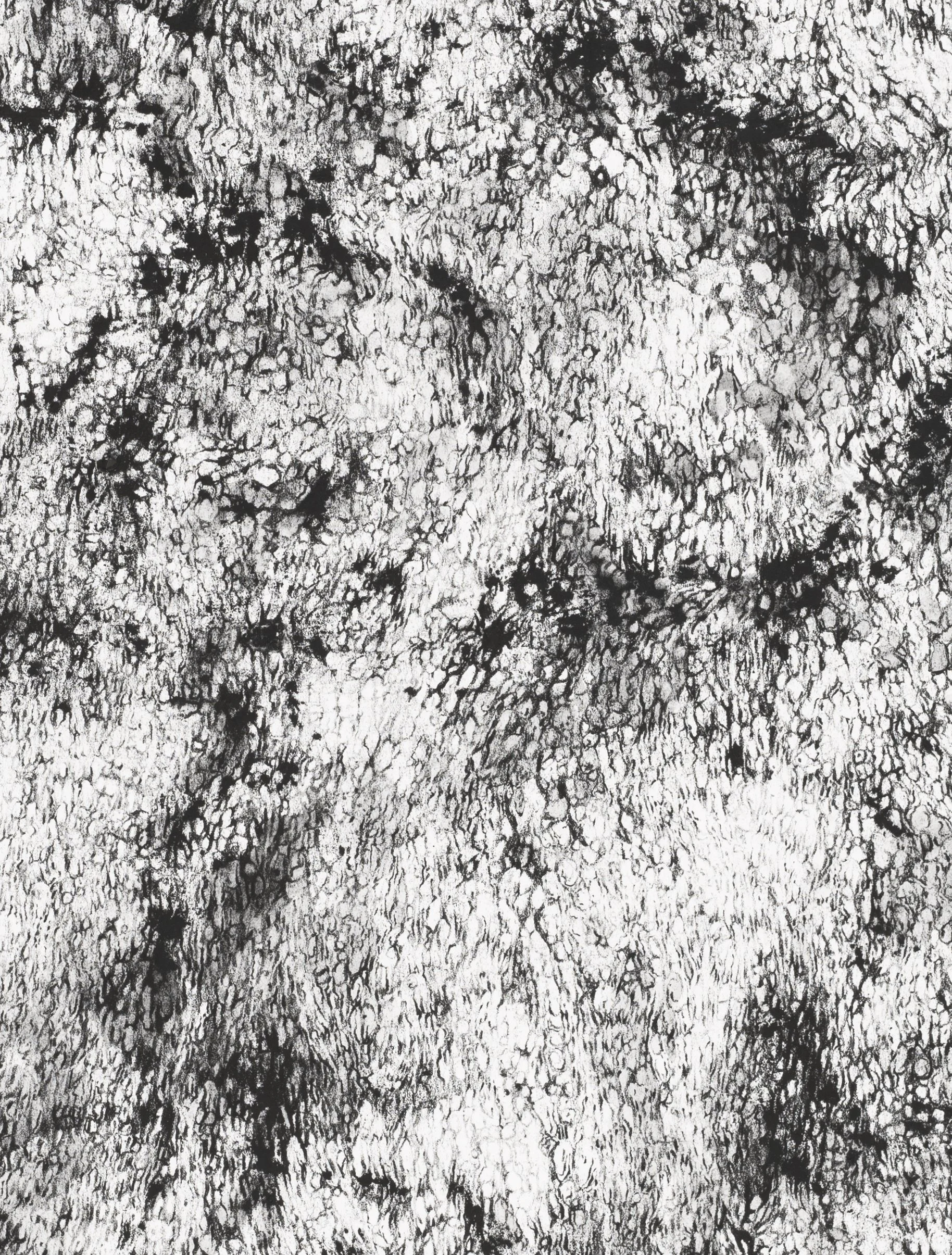 Bridge (detail)