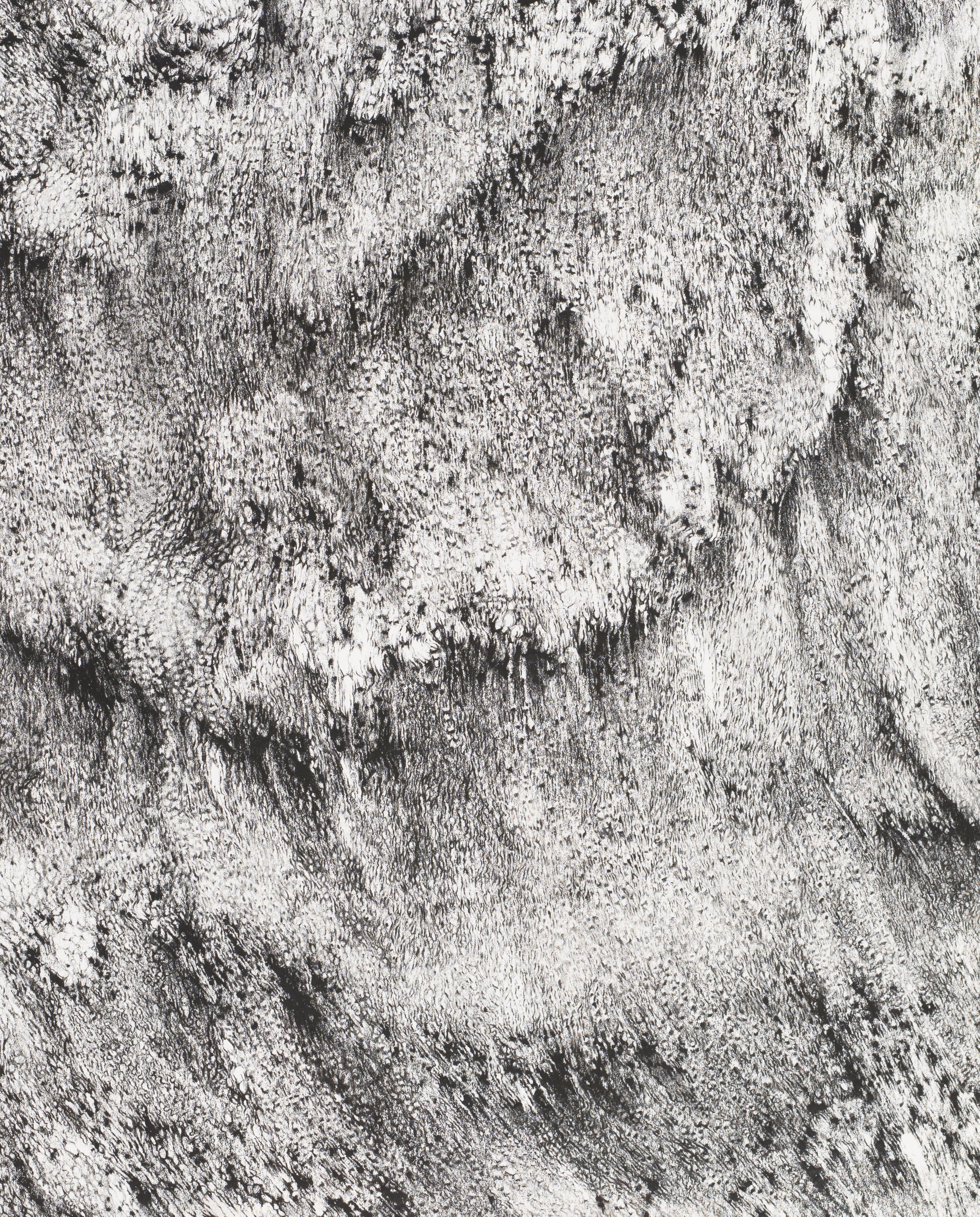 Crag (detail 1) 