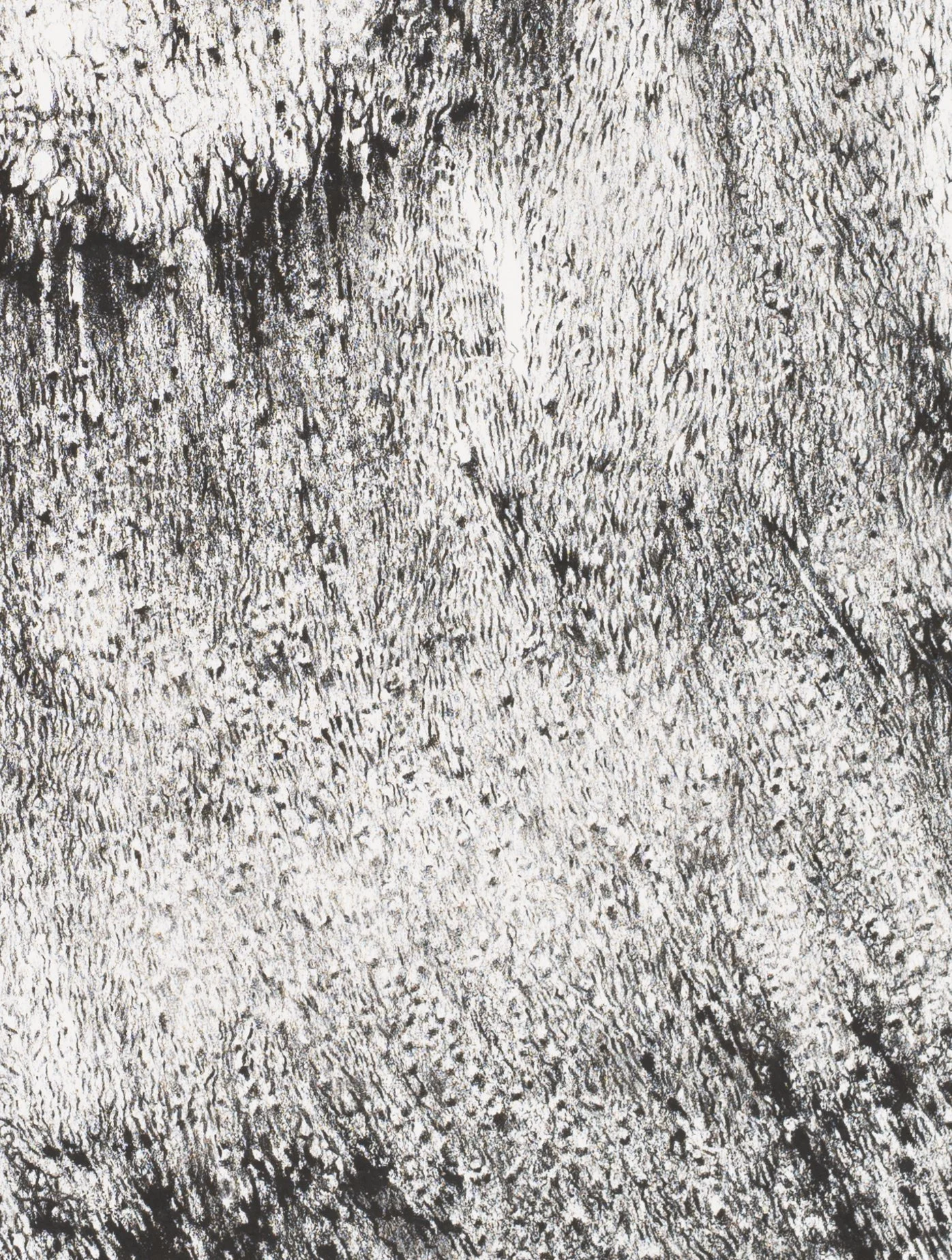 Crag (detail 2)