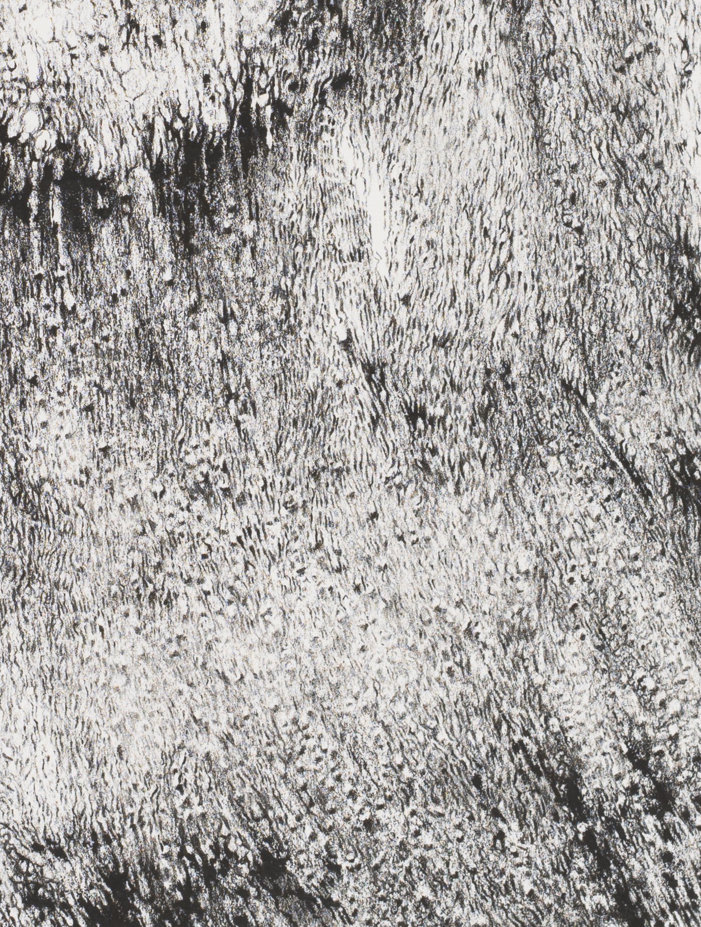 Crag (detail)
