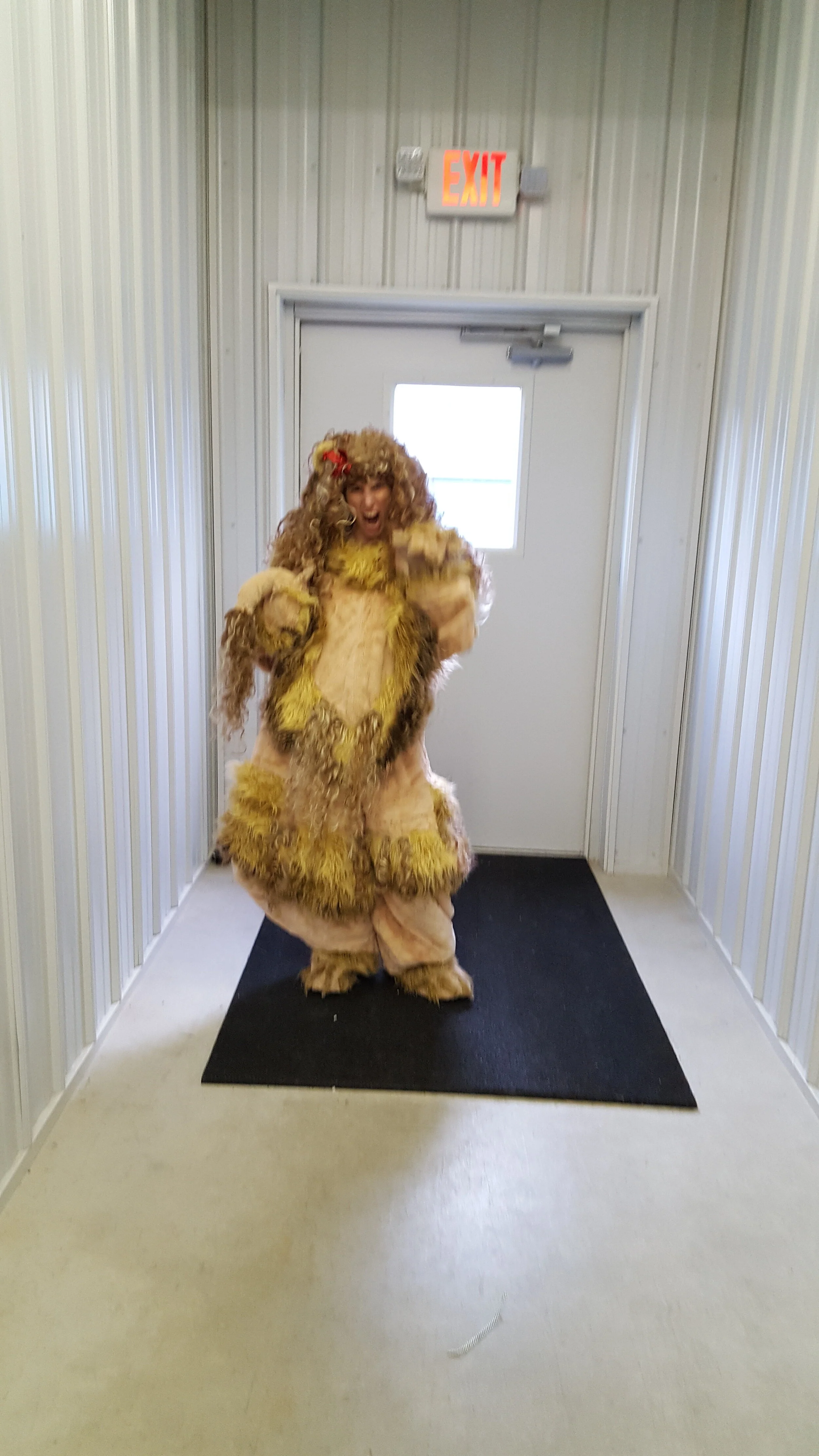 lion1702122.jpg