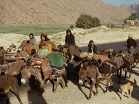 pointon gallery 04 new.jpg