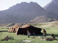 pointon gallery 09 new.jpg